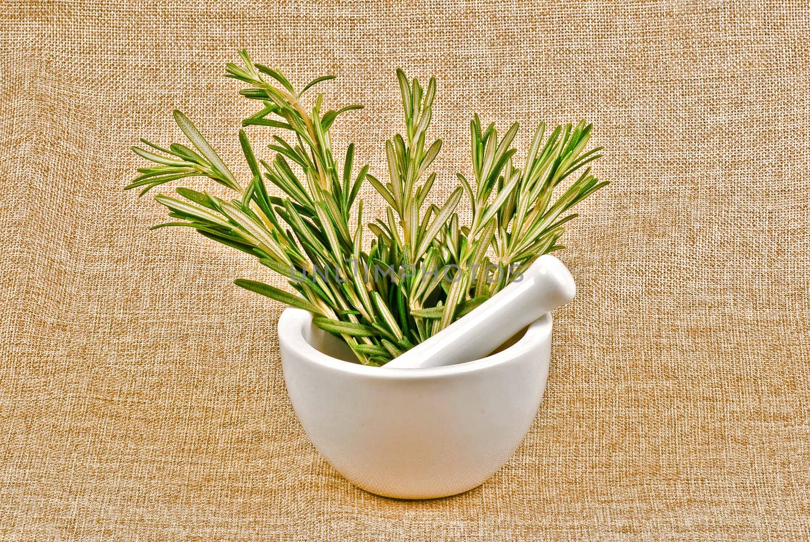 Rosemary branches in white ceramic mortar and pestle