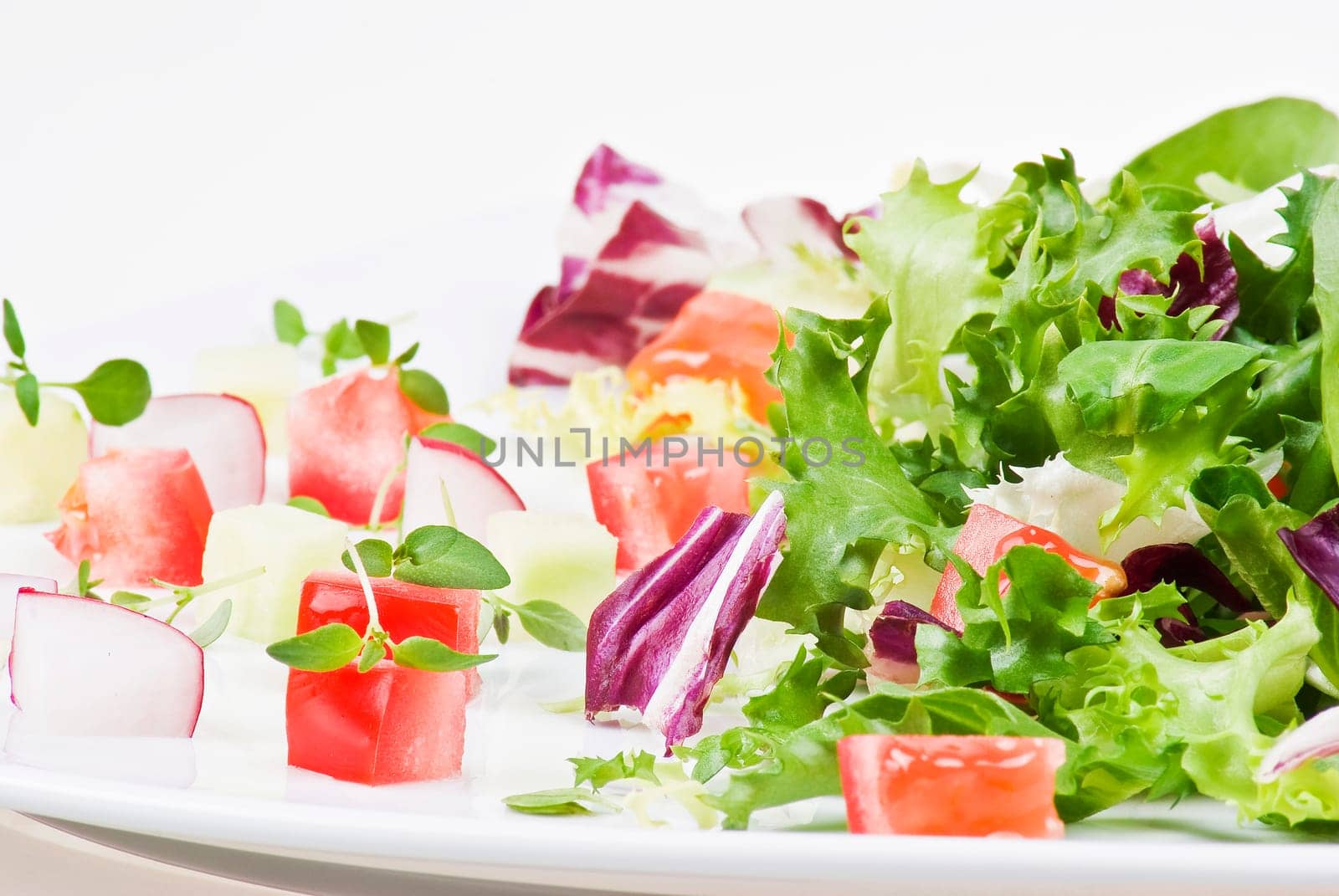Various salad leaves with tomato, radish and cucumber