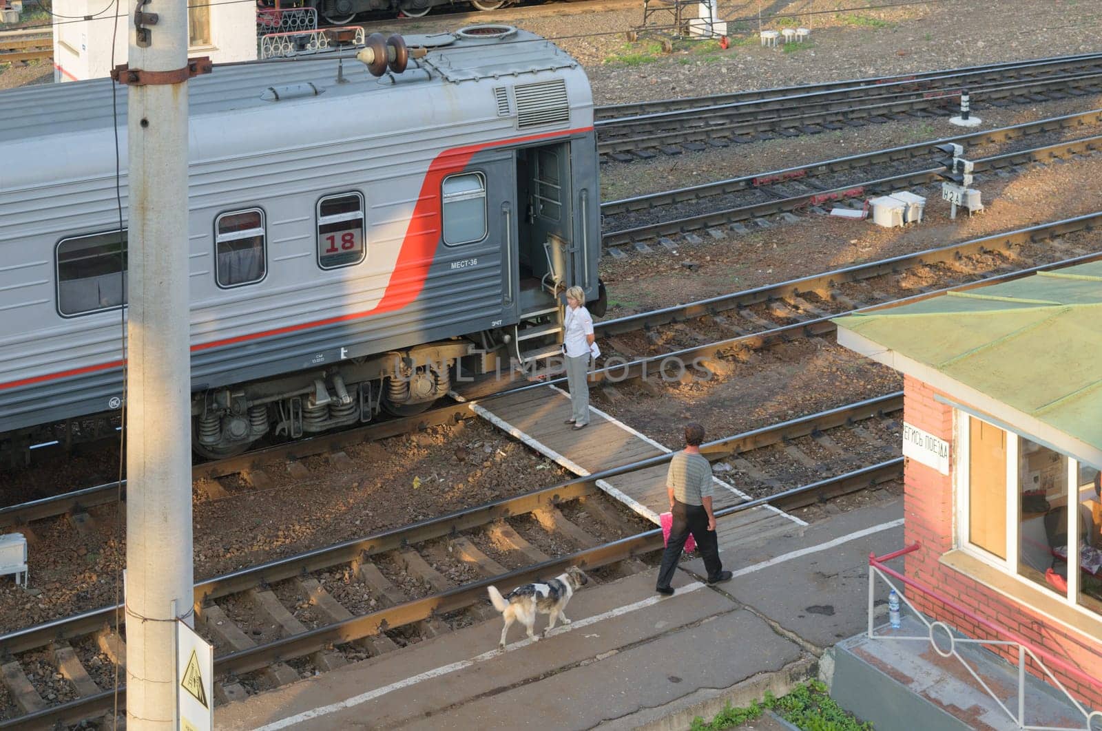 Conductor standing near the car before the departure of a passenger train from the station.