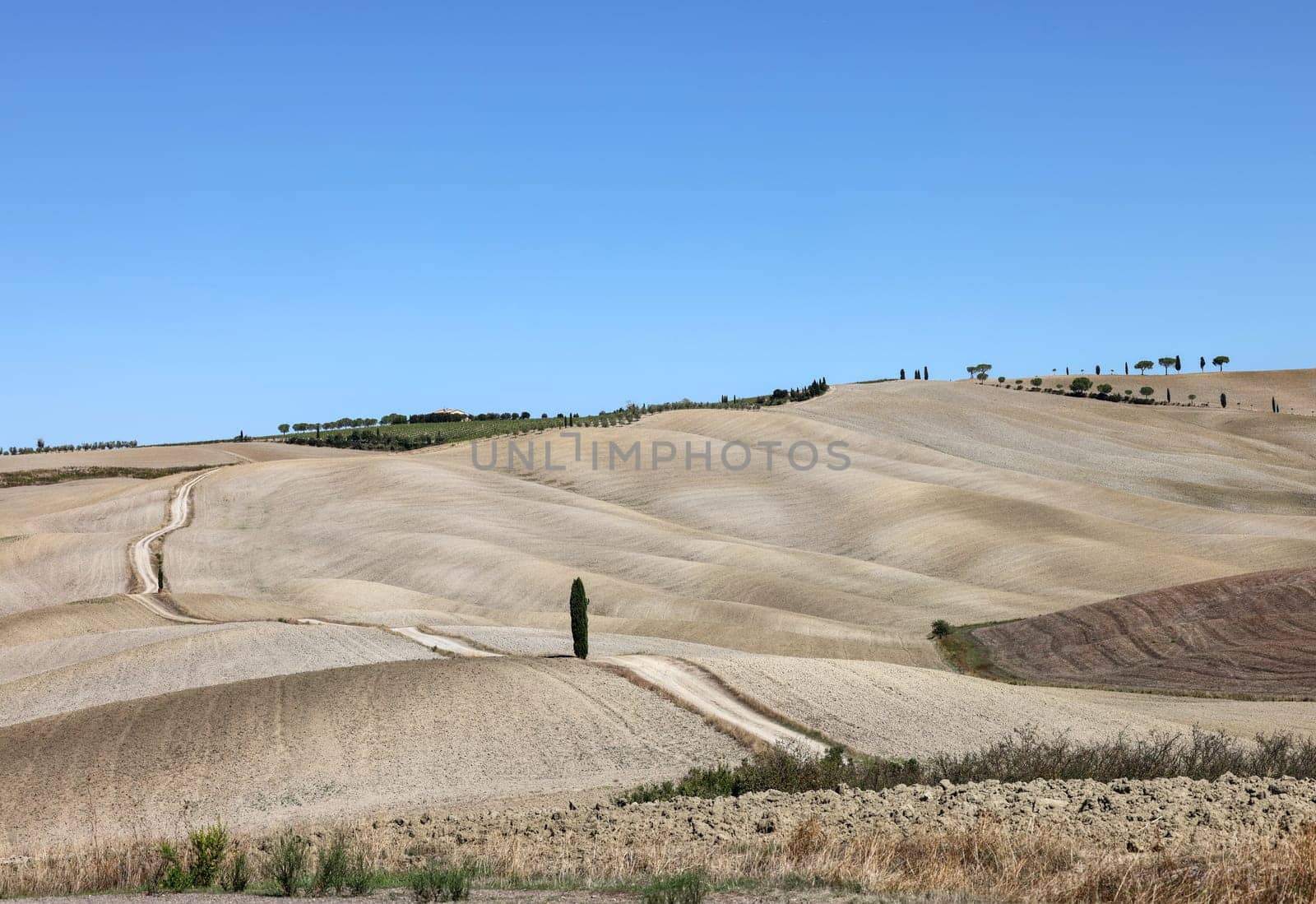 The rural landscape near San Quirico in Tuscany. Italy