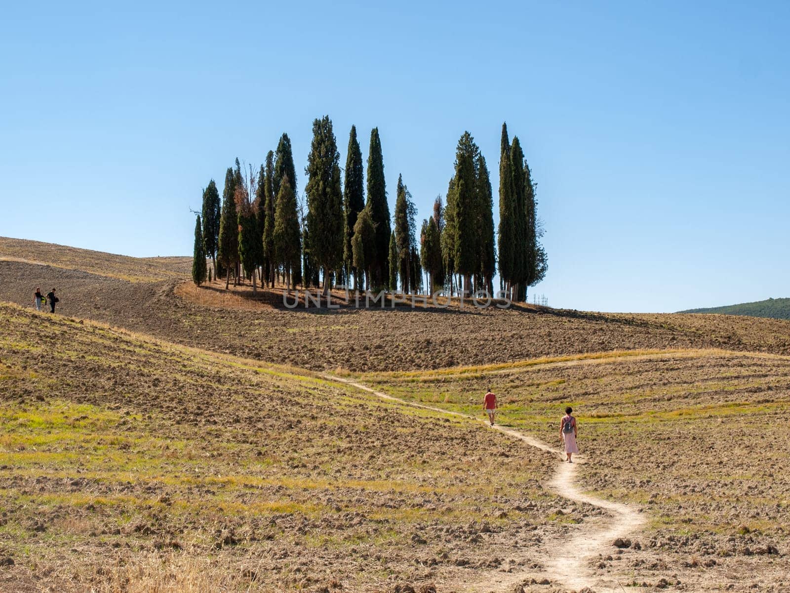 The rural landscape near San Quirico in Tuscany. Italy
