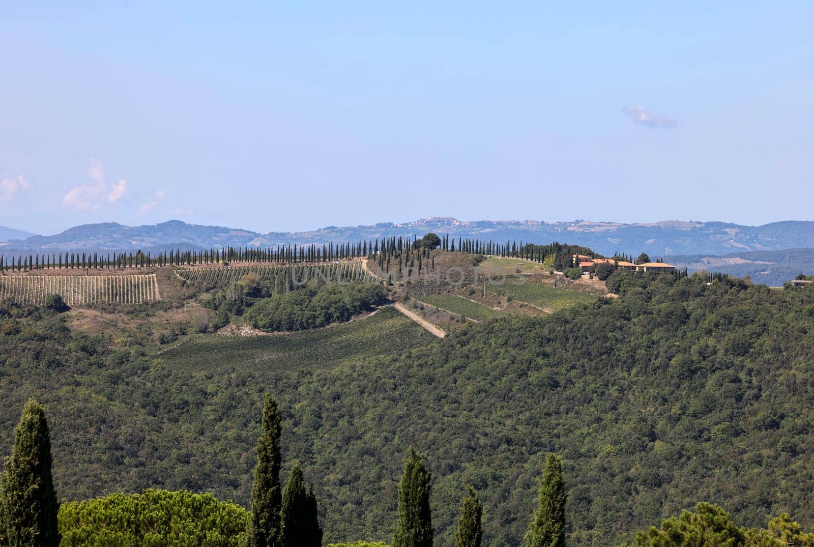 The rural landscape near Pienza in Tuscany. Italy