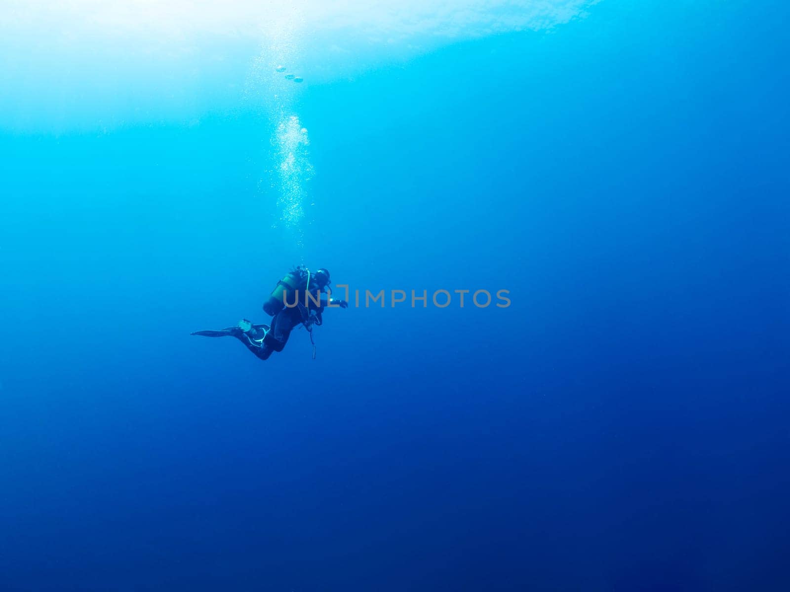 scuba diver diving in the ocean, the water is blue and clear, the man is wearing a wetsuit