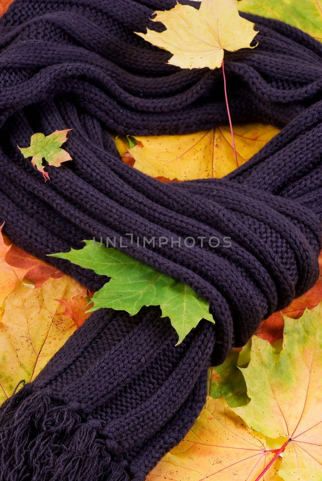 Dark - brown scarf lying on autumn leaves
