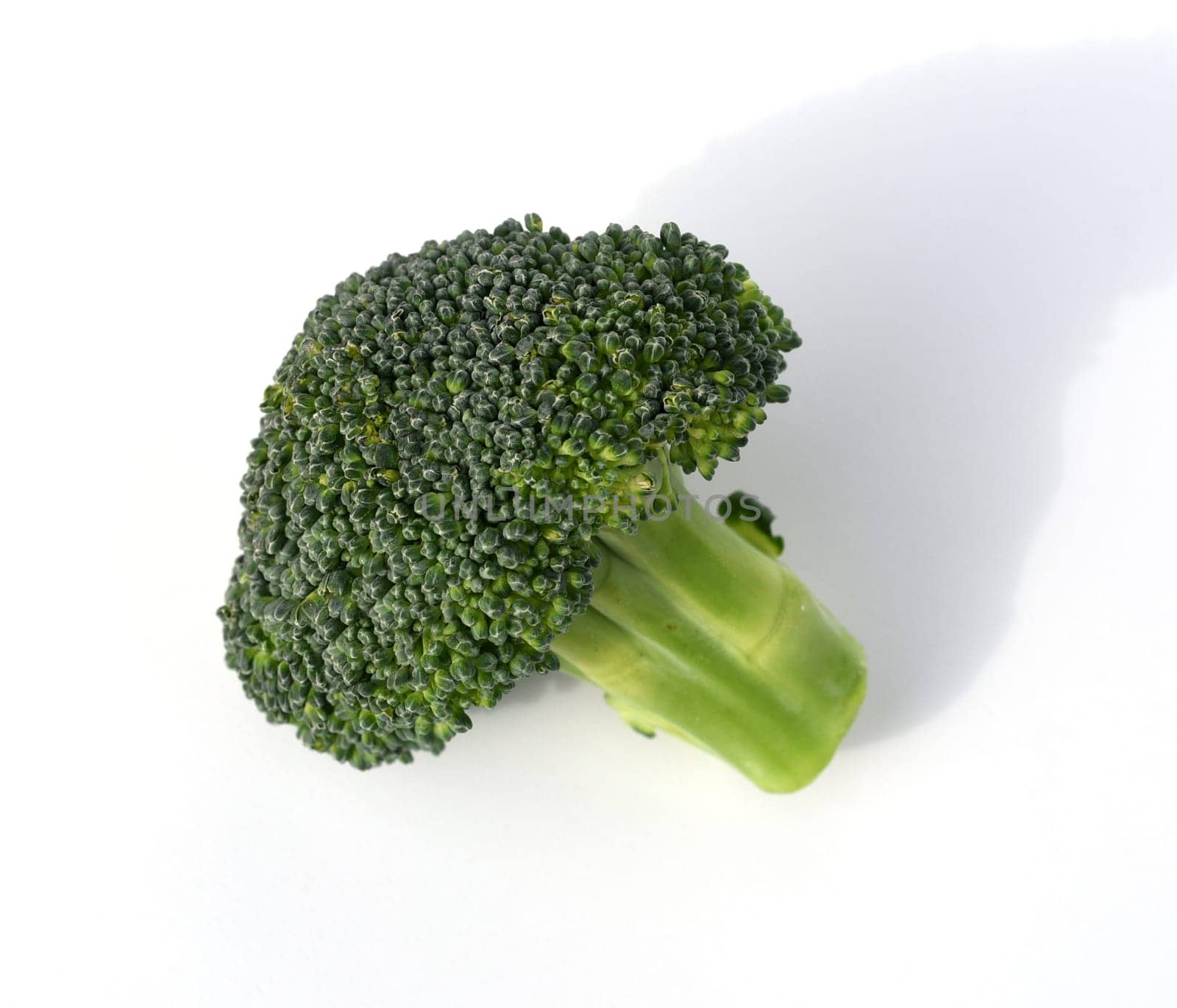 Broccoli,brassica,oleracea has large green flowers with excellent taste and decorative appearance. Broccoli,Brassica,oleracea has large green flowers with excellent taste and decorative appearance