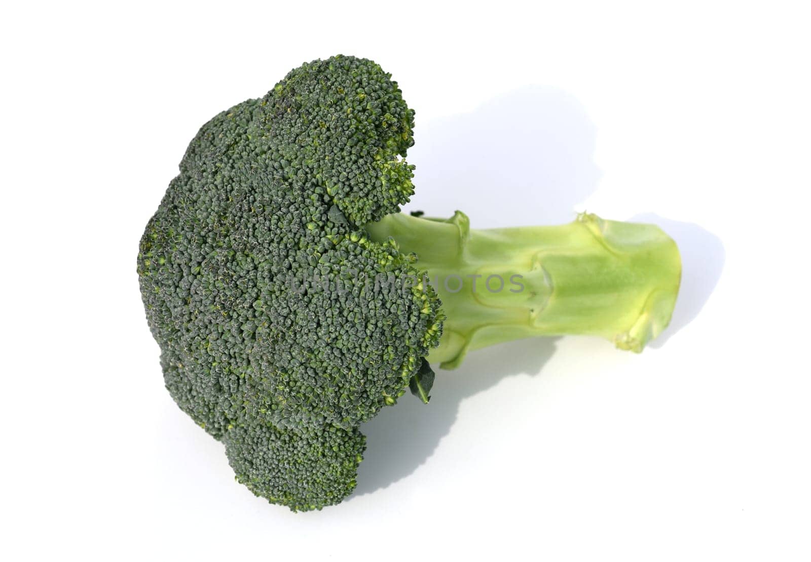 Broccoli,brassica,oleracea has large green flowers with excellent taste and decorative appearance. Broccoli,Brassica,oleracea has large green flowers with excellent taste and decorative appearance