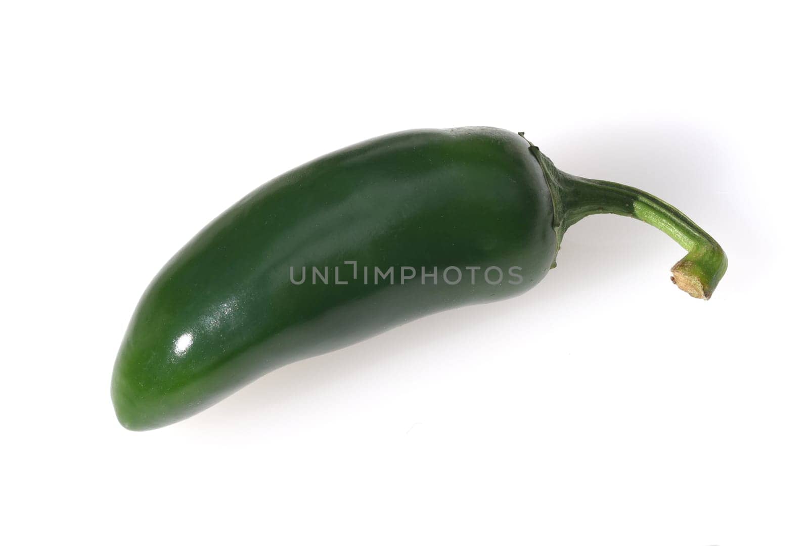 Jalapeño,Peperoni Capsicum Annuum is a very hot herb plant and is used in the kitchen for growing. Jalapeño,Pepperoni Capsicum Annuum is a very hot herb and is used in the kitchen for seasoning.