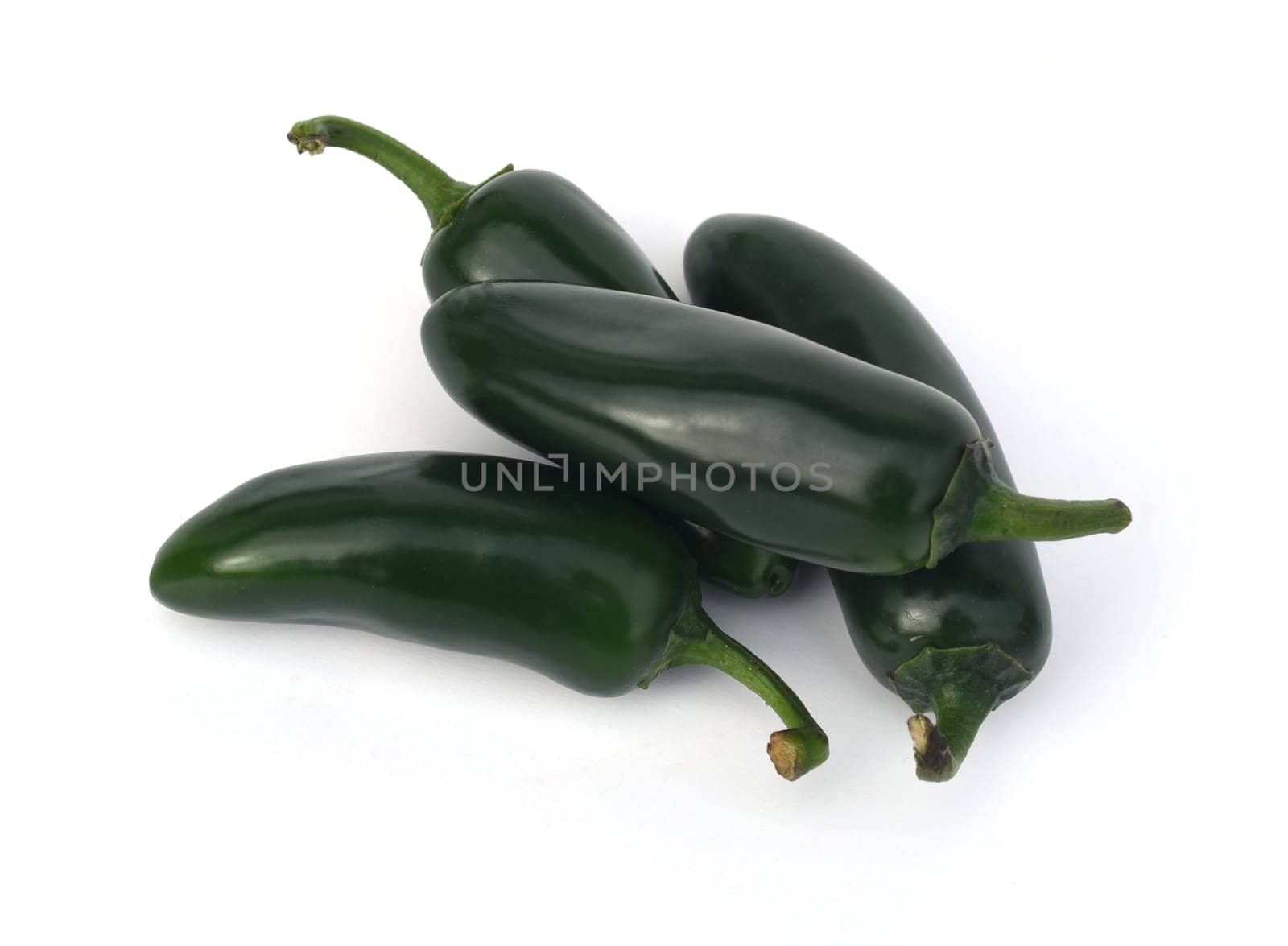 Jalapeño,Peperoni Capsicum Annuum is a very hot herb plant and is used in the kitchen for growing. Jalapeño,Pepperoni Capsicum Annuum is a very hot herb and is used in the kitchen for seasoning.