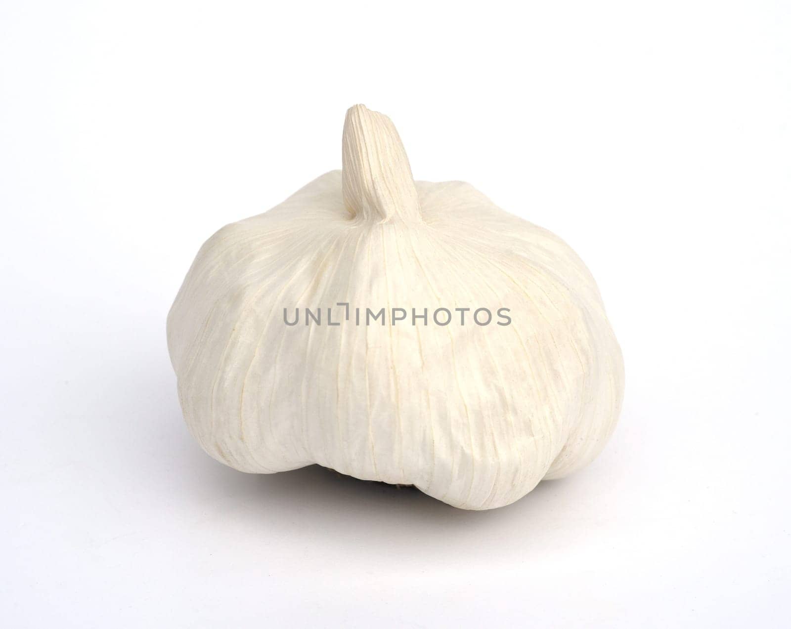 Garlic,Allium,sativum is a very healthy herb plant and is used in the kitchen for heating and is an important medicinal plant. Garlic,Allium sativum is a very healthy herb and is used in the kitchen for seasoning and is an important medicinal plant