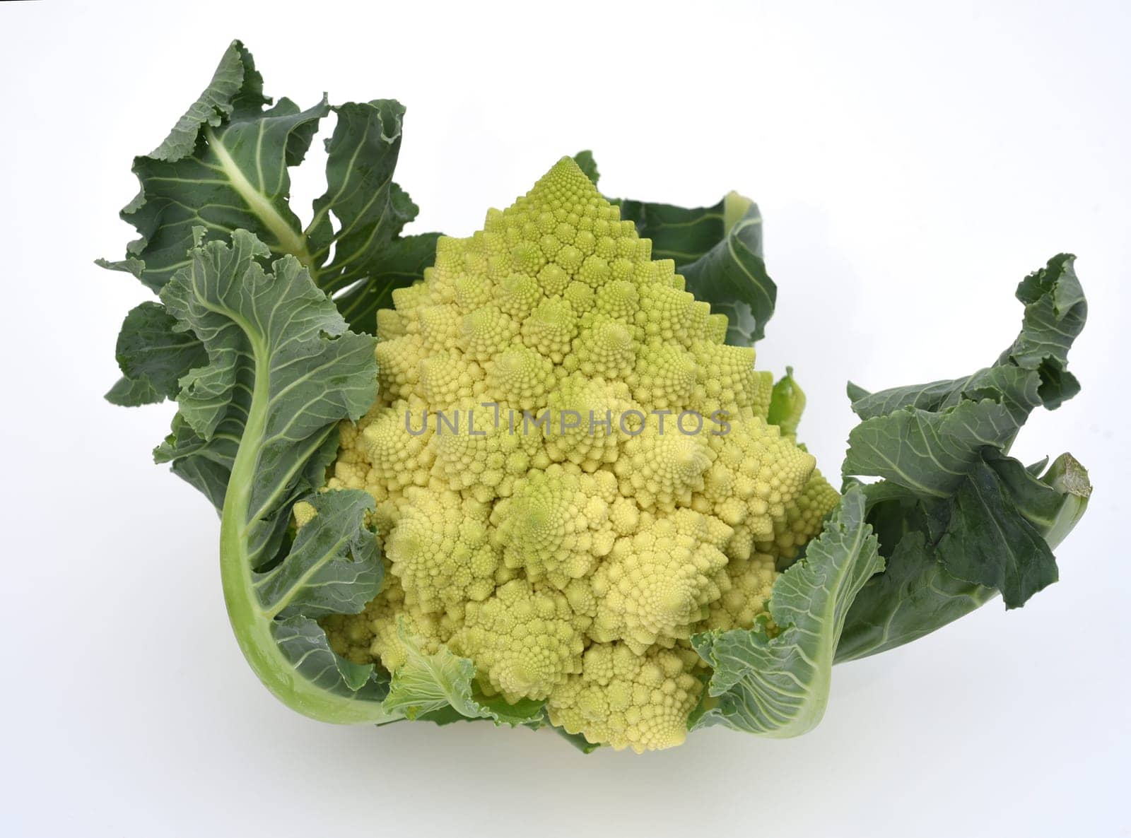 Romanesco,broccoli has large green flowers with excellent taste and decorative appearance. Romanesco,broccoli has large green flowers with an excellent taste and decorative appearance.