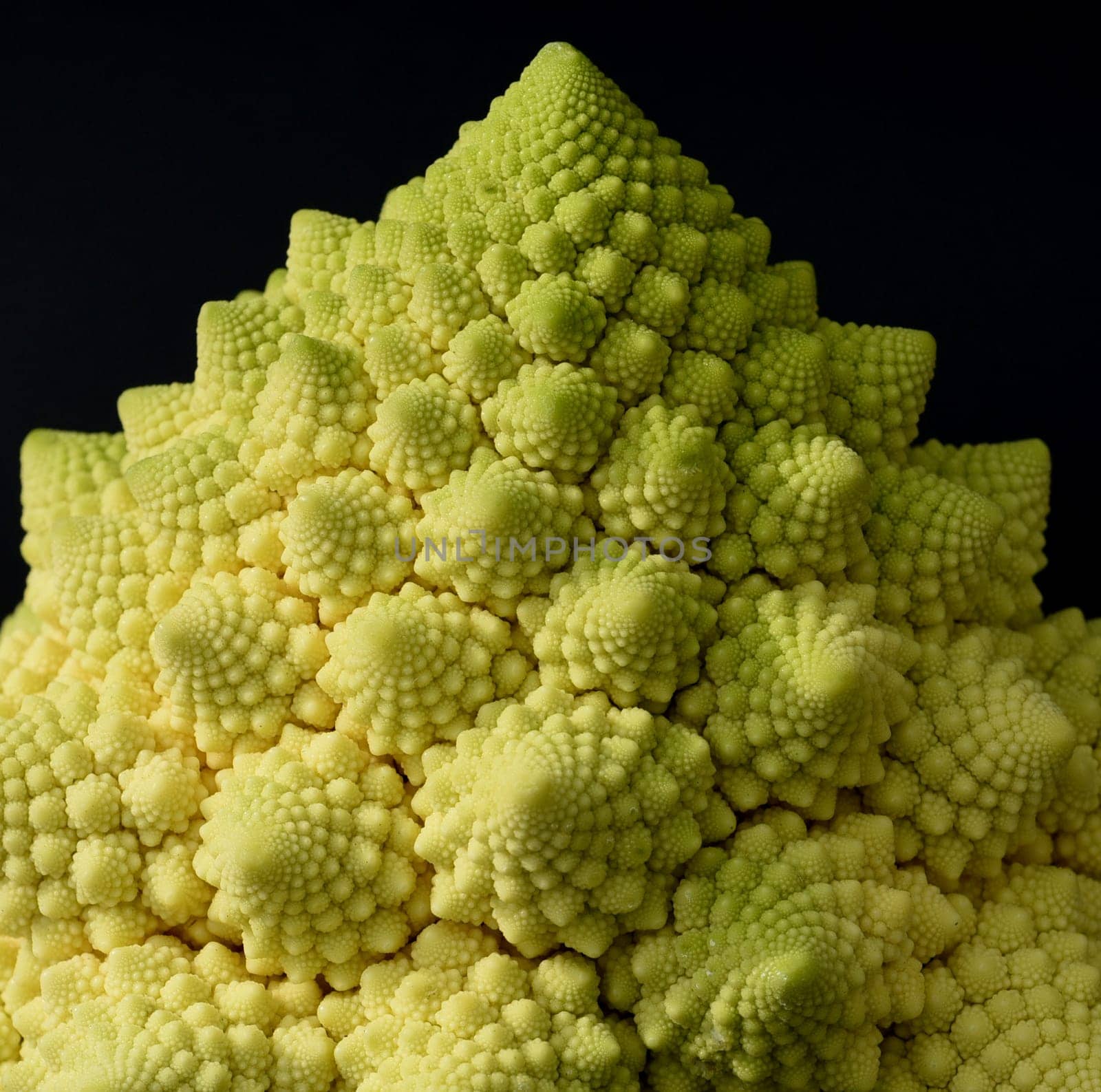 Romanesco,broccoli has large green flowers with excellent taste and decorative appearance. Romanesco,broccoli has large green flowers with an excellent taste and decorative appearance.
