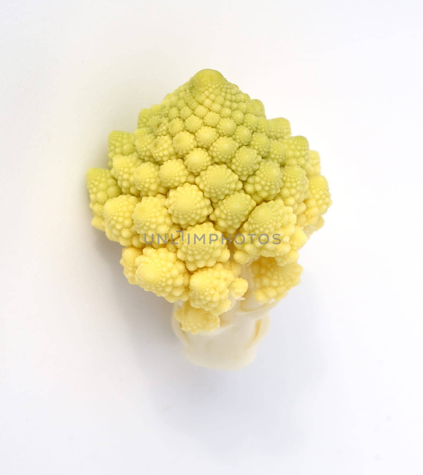 Romanesco,broccoli has large green flowers with excellent taste and decorative appearance. Romanesco,broccoli has large green flowers with an excellent taste and decorative appearance.