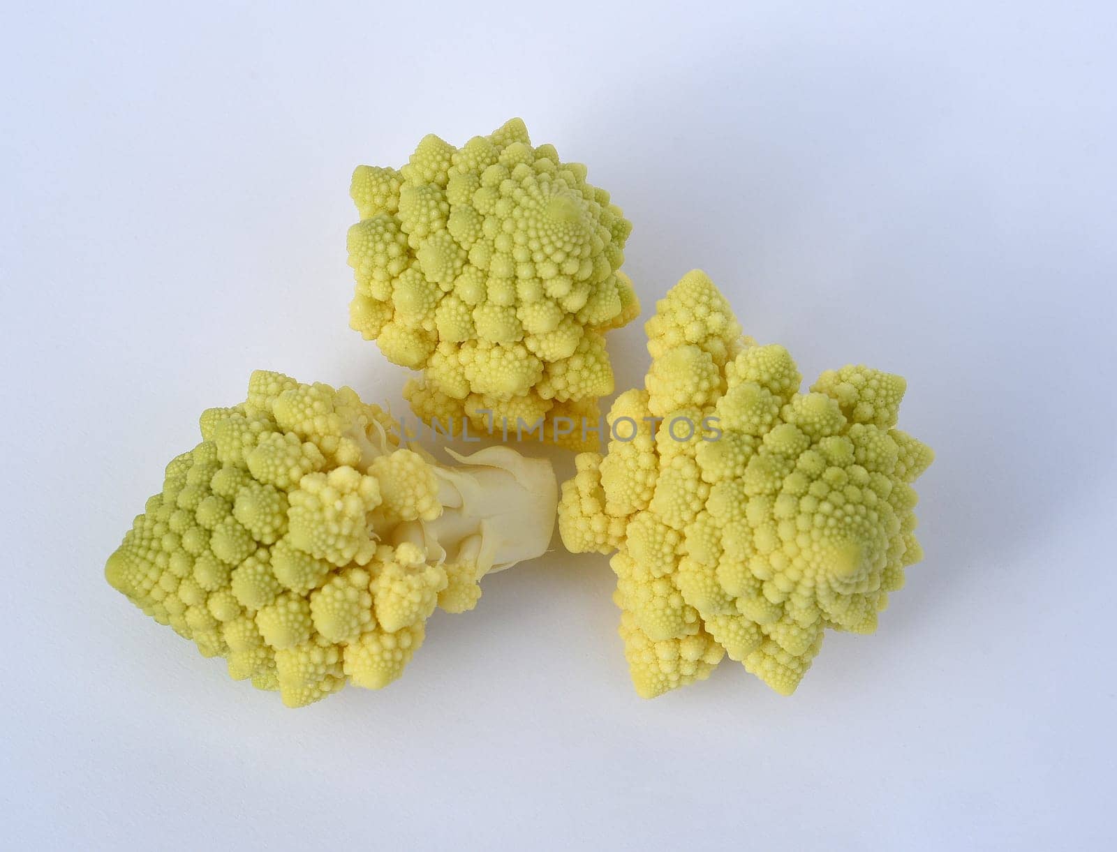 Romanesco,broccoli has large green flowers with excellent taste and decorative appearance. Romanesco,broccoli has large green flowers with an excellent taste and decorative appearance.