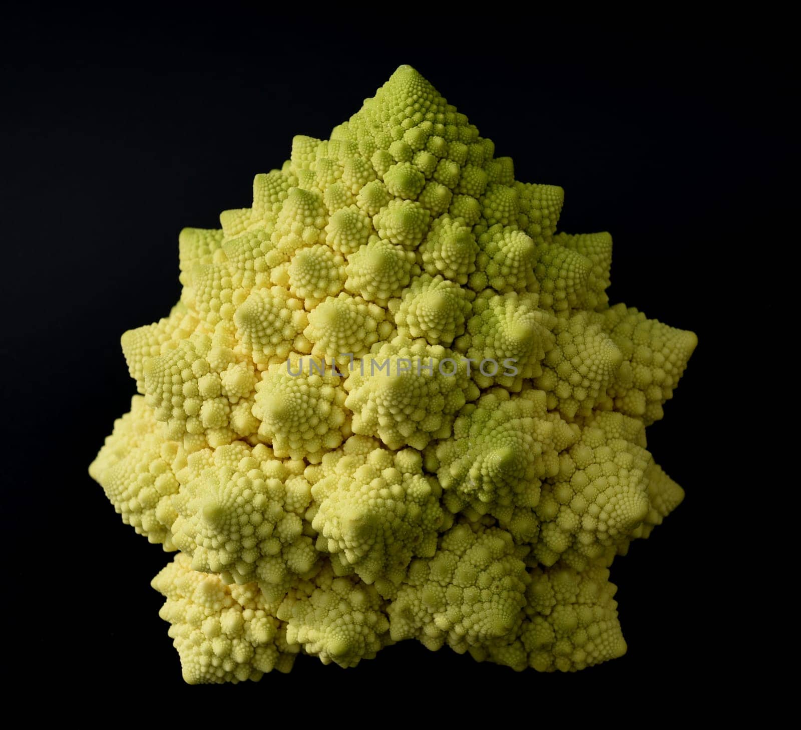 Romanesco,broccoli has large green flowers with excellent taste and decorative appearance. Romanesco,broccoli has large green flowers with an excellent taste and decorative appearance.