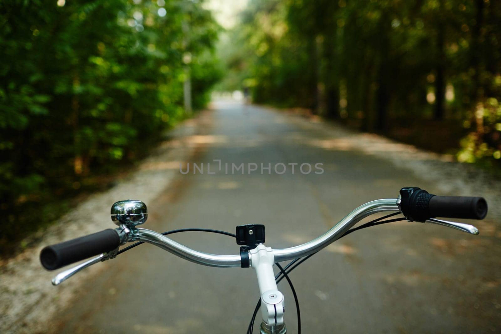 Steer of bicycle in riding down park road