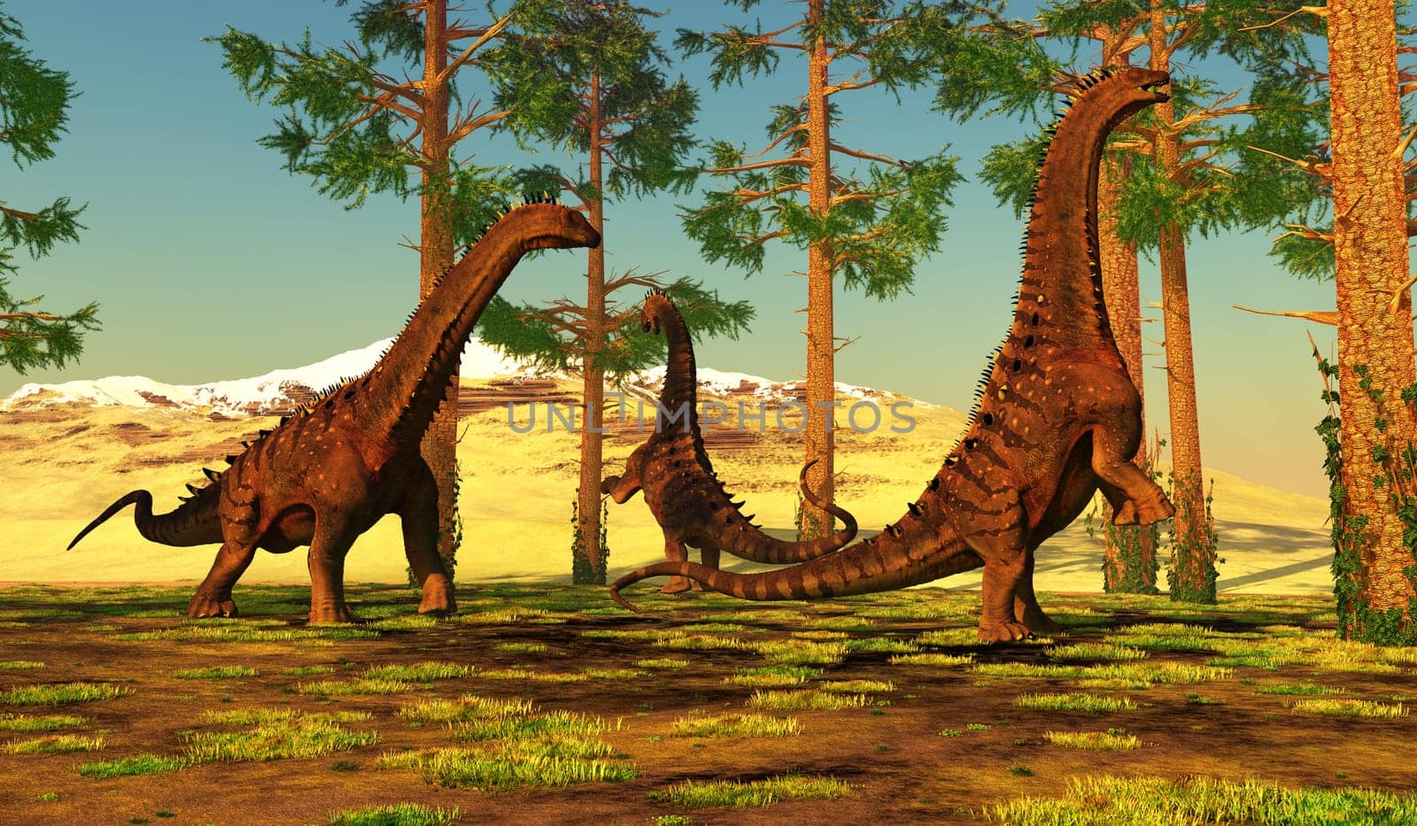 A group of Titanosaurs called Alamosaurus forage among a forest of Pine trees.