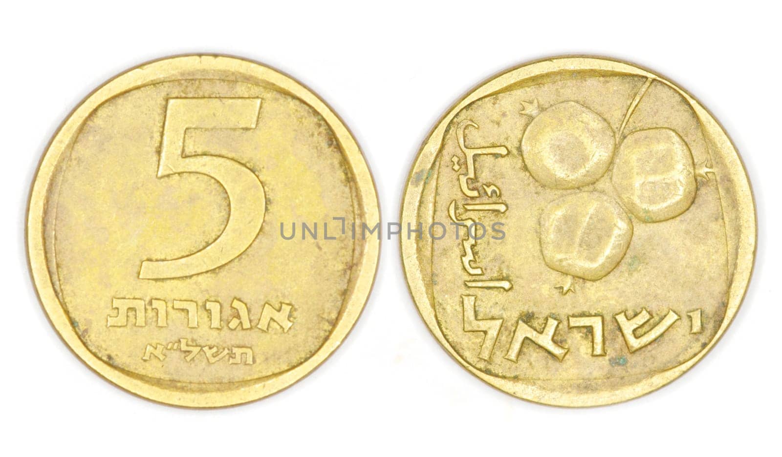 coin isolated on a white