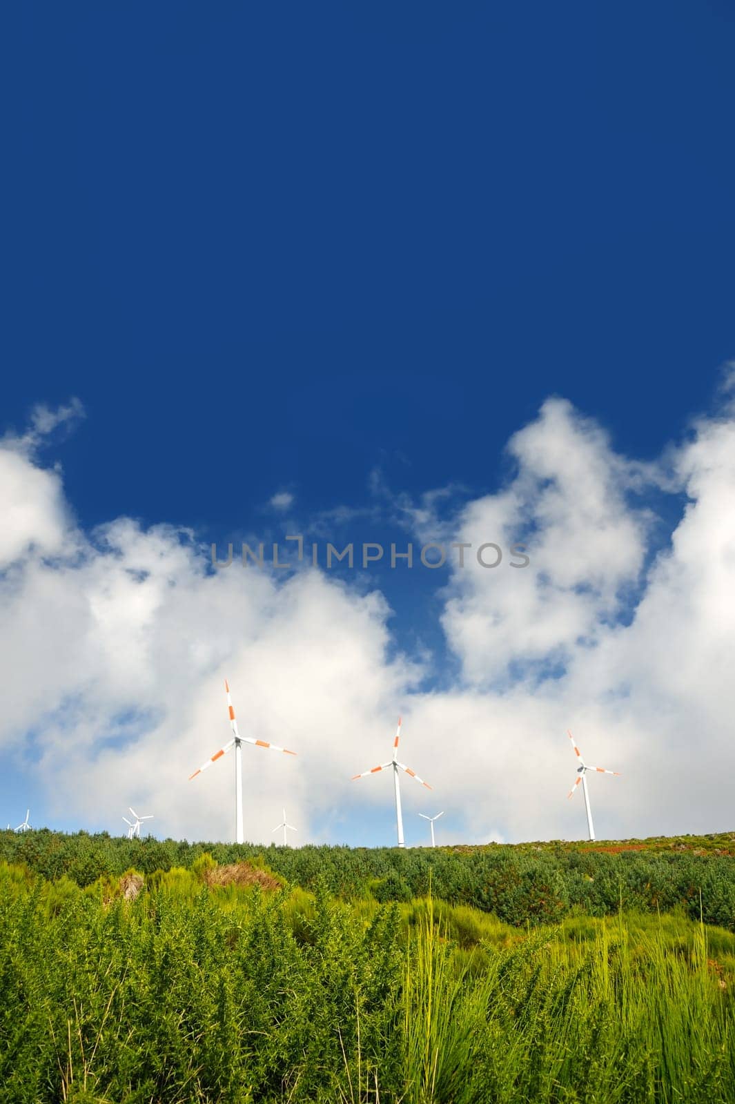 Eolic turbines Paul de Serra, Madeira