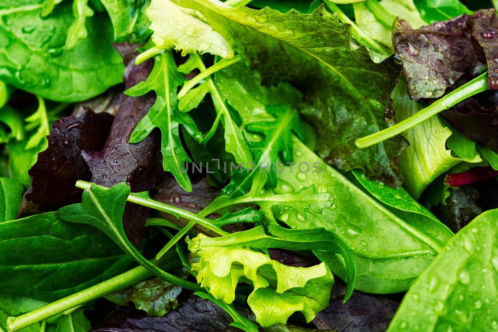 Set of fresh salad leaves on the plate. Vegan food. Food background