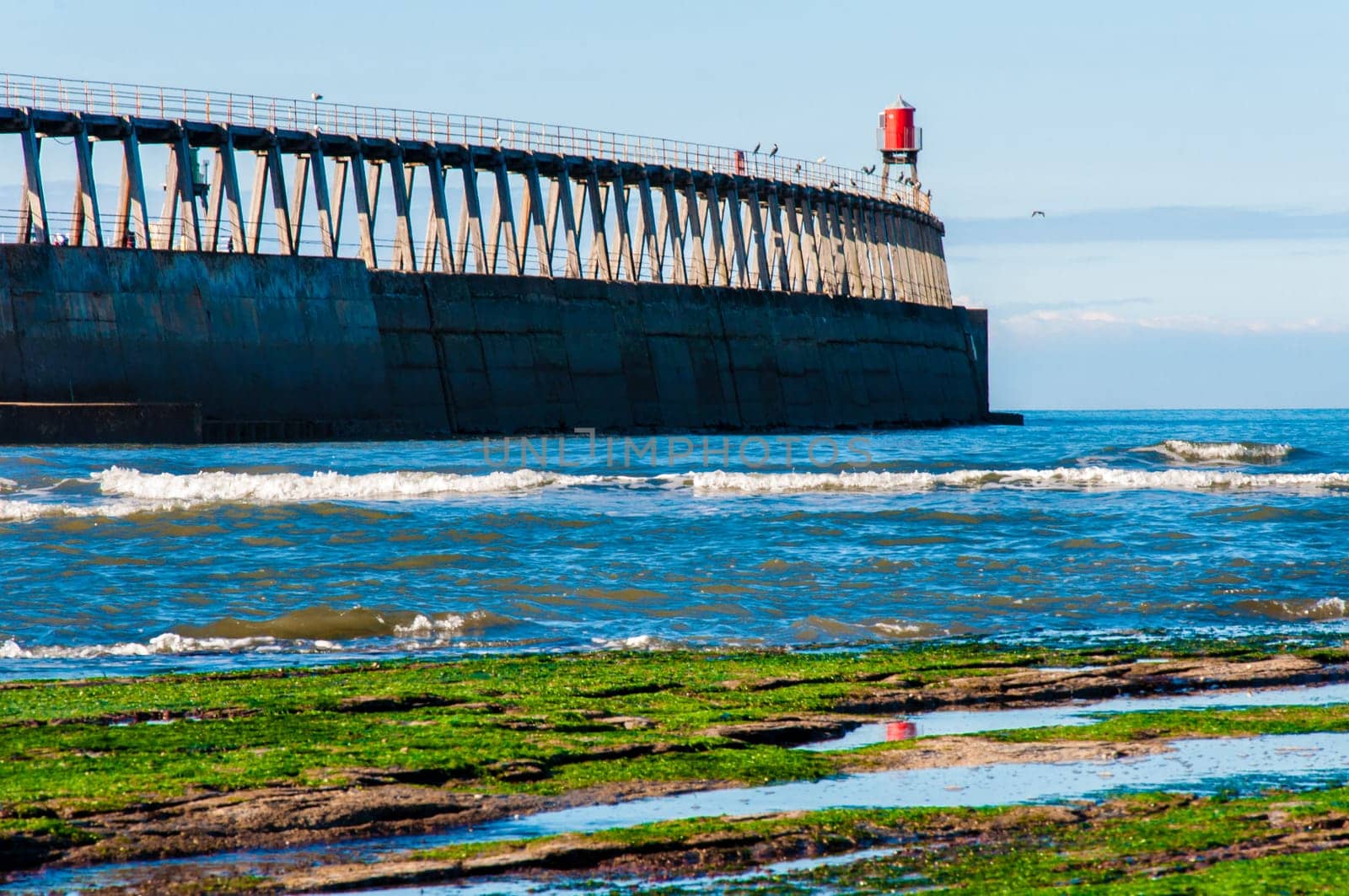 Scenic view of Whitby Pier in sunny autumn day.Whitby's attraction as a tourist destination is enhanced by its association with the world famous horror novel Dracula, written by Bram Stoker