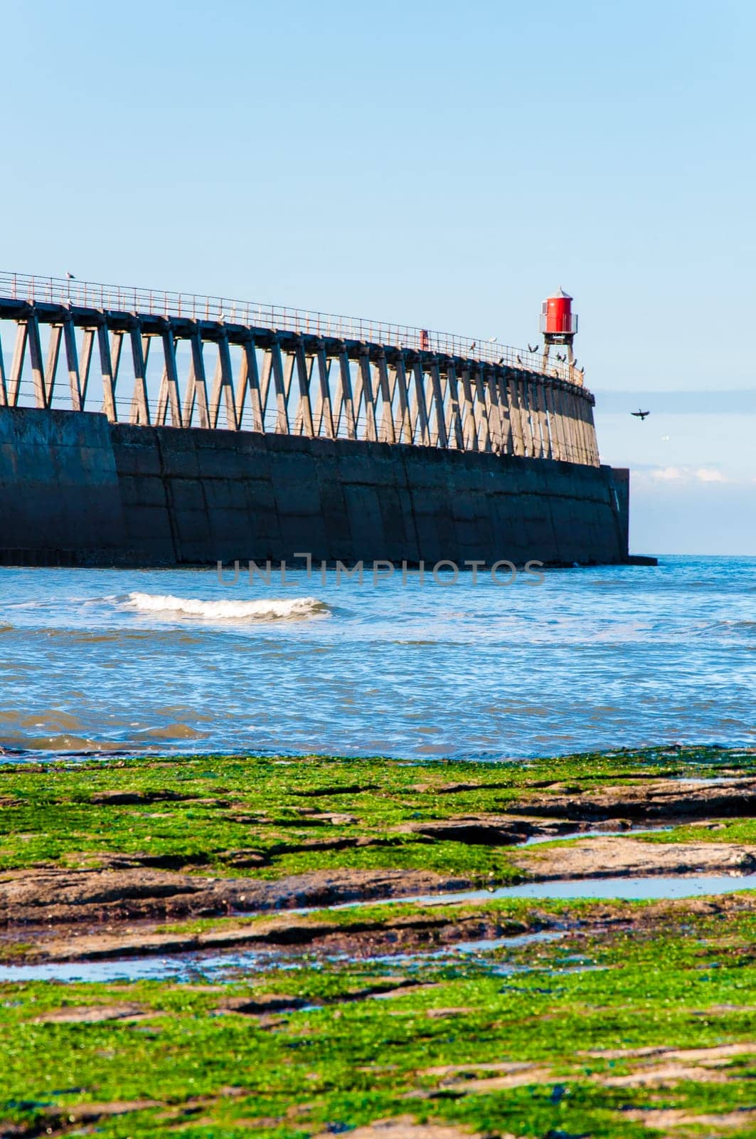 Scenic view of Whitby Pier in sunny autumn day.Whitby's attraction as a tourist destination is enhanced by its association with the world famous horror novel Dracula, written by Bram Stoker