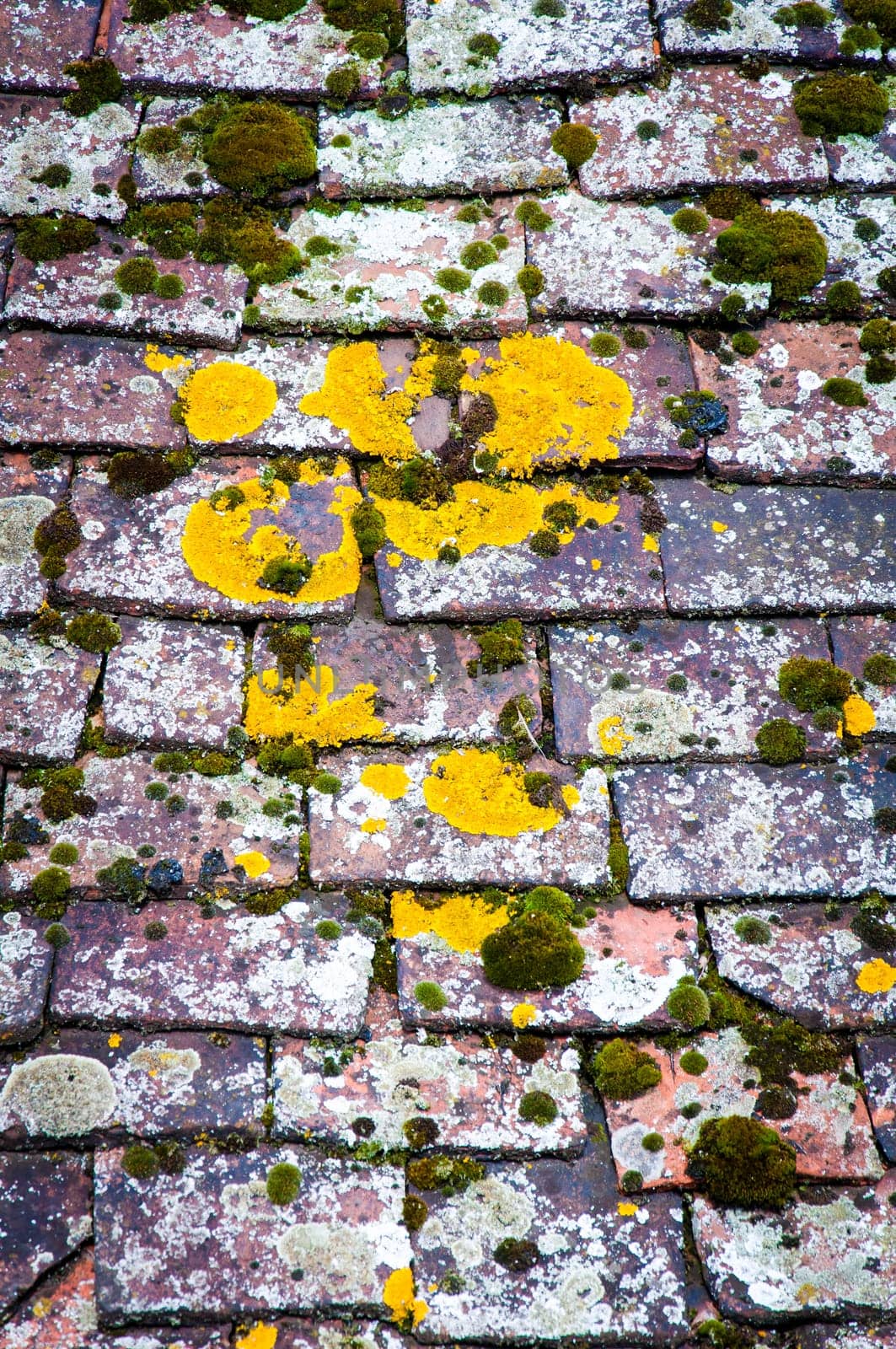 Background of old roof covered with tiles