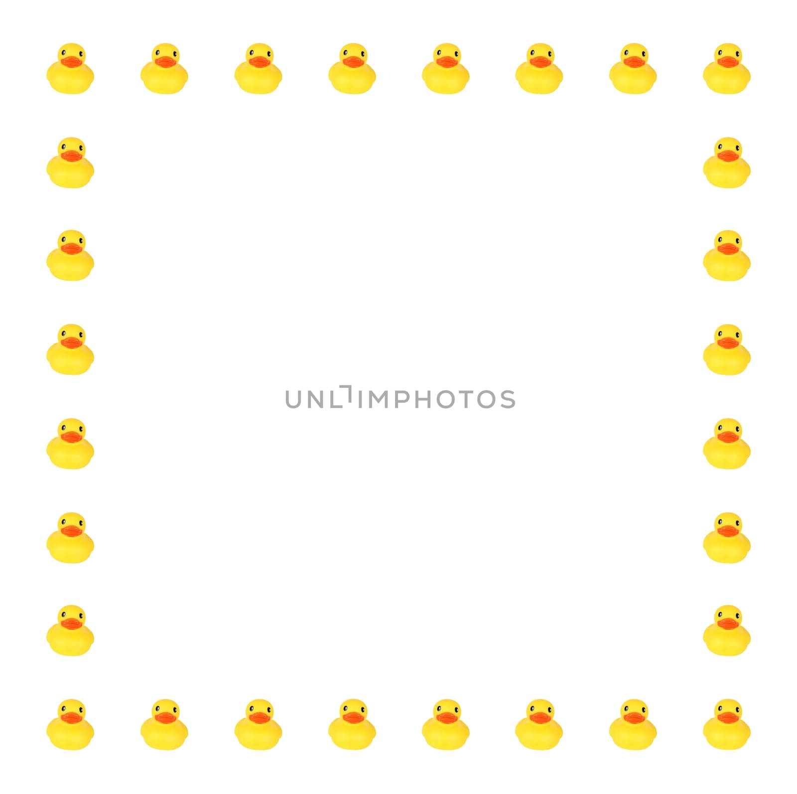 Toy ducks in row border on white background