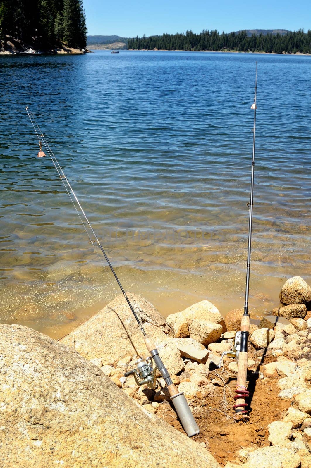 Two fishing rods  with lake on the background at bright sunny day