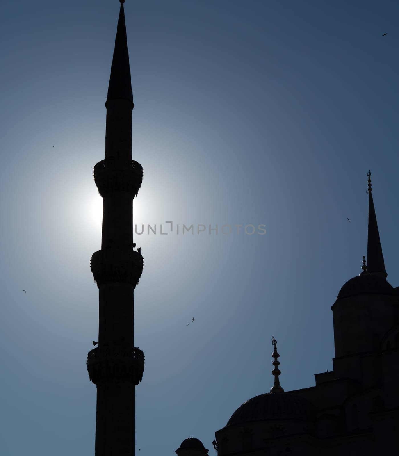 Blue Mosque silhouette