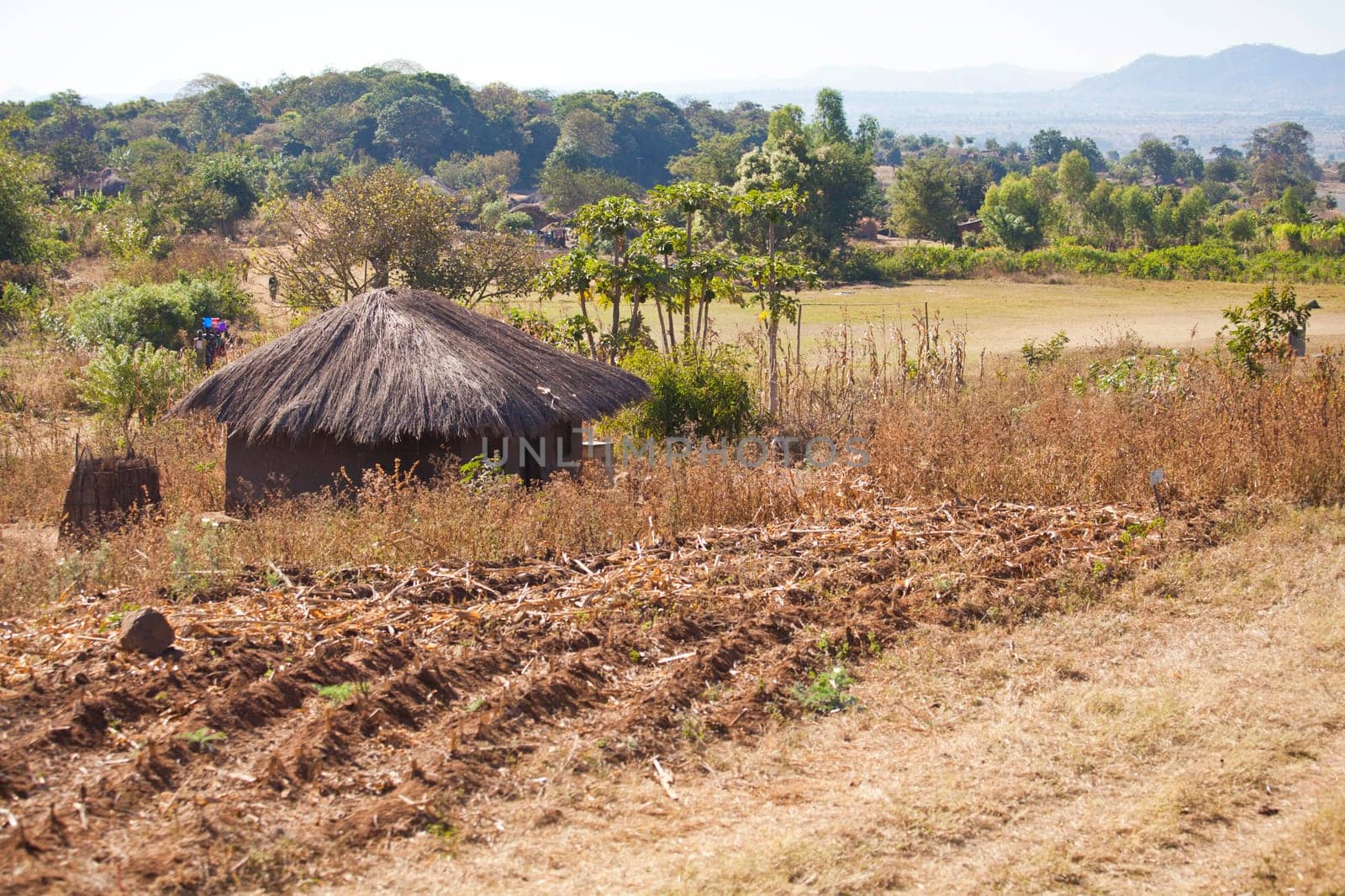 View of  an African village with small huts