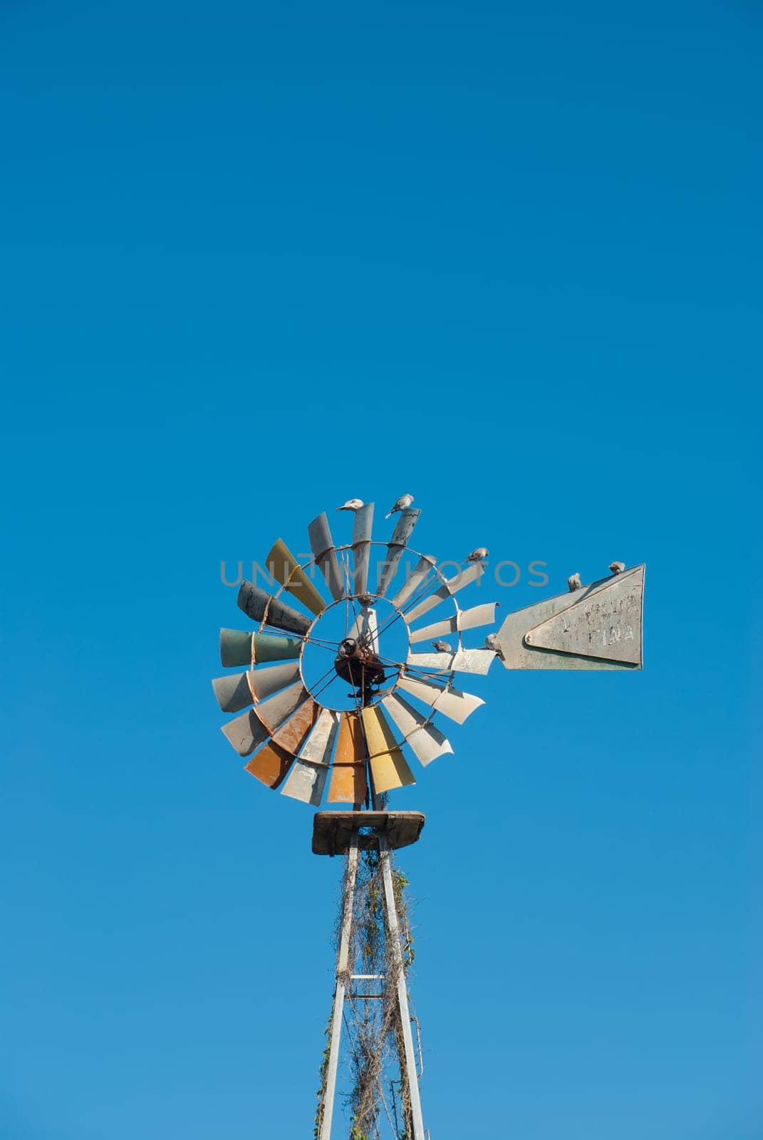 Traditional windmill pump extracting water from a well