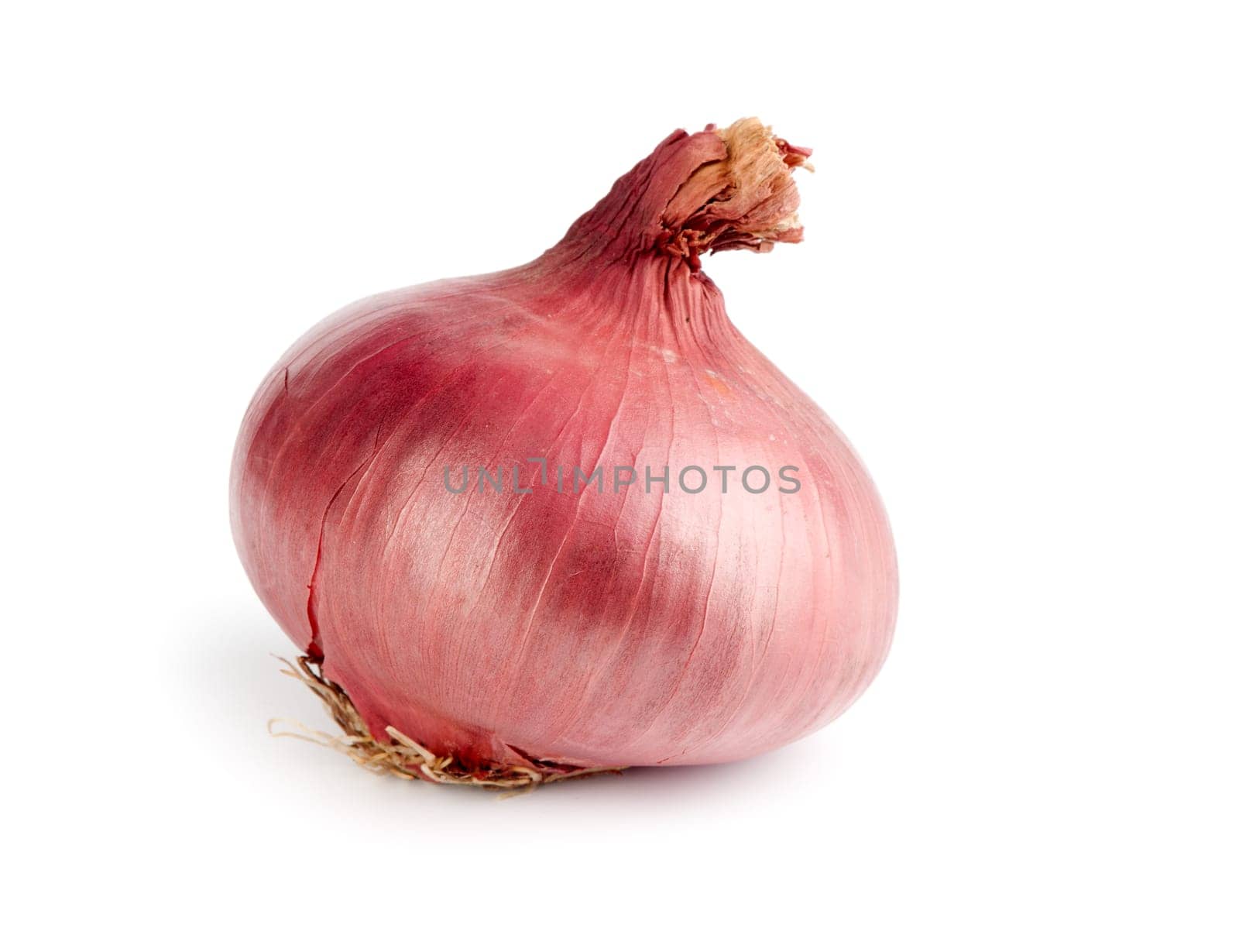 Red onion isolated on white