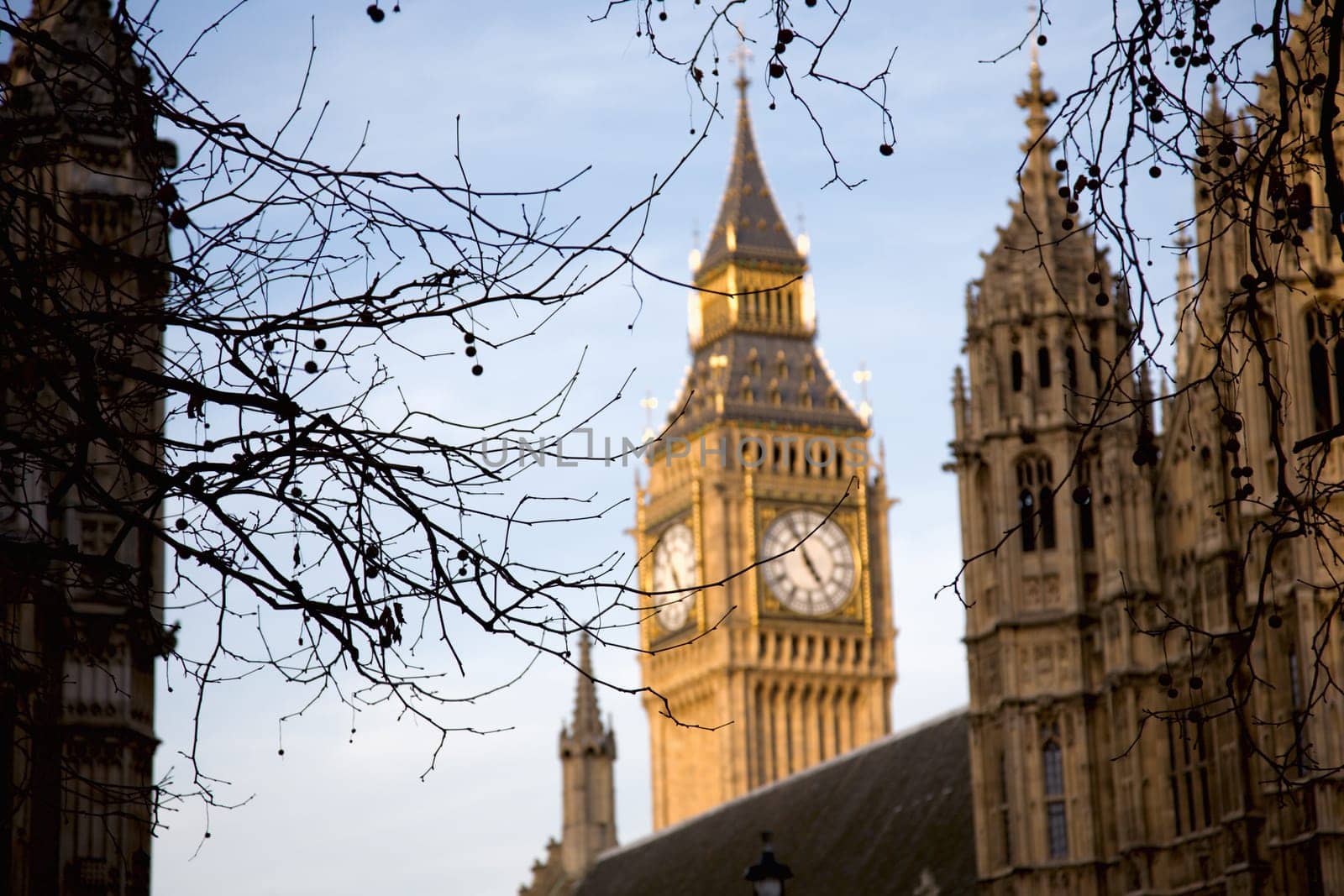 Big Ben seen from Victoria Garden.