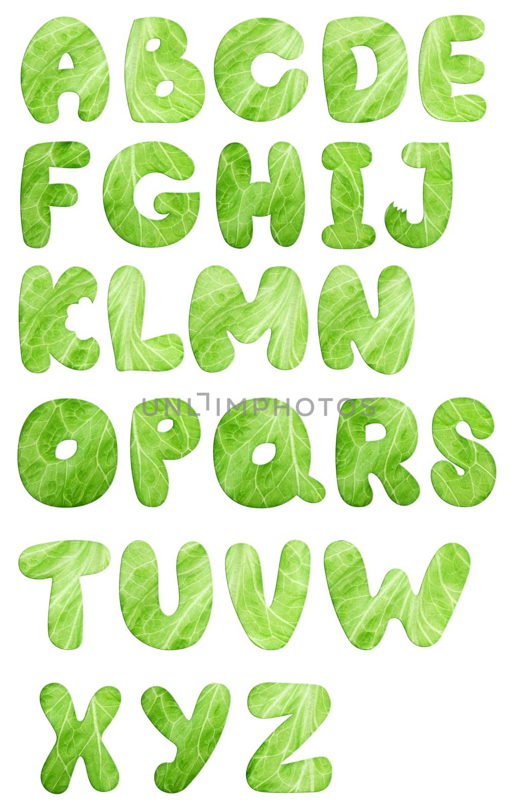 lettuce salad alphabet