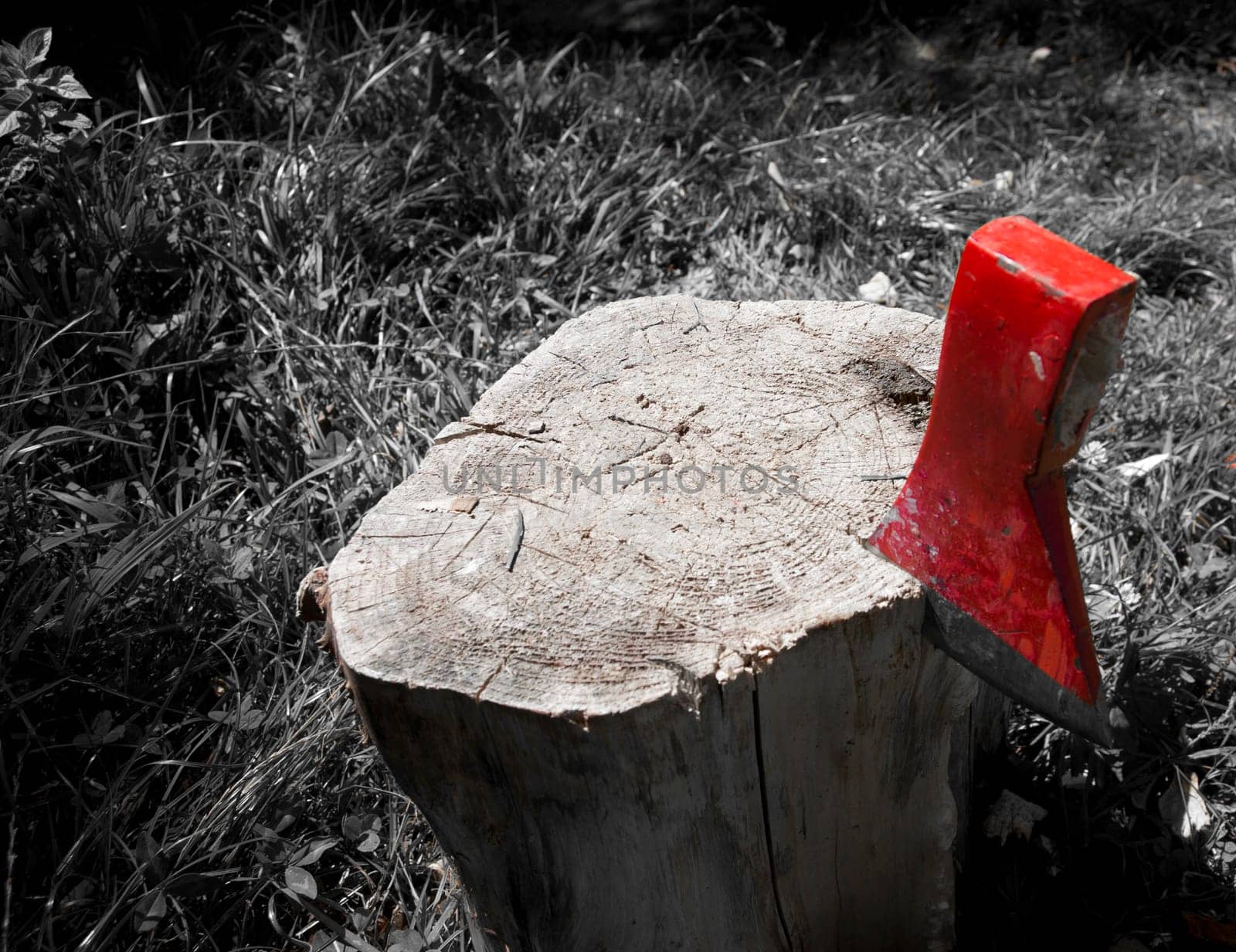 chopping wood