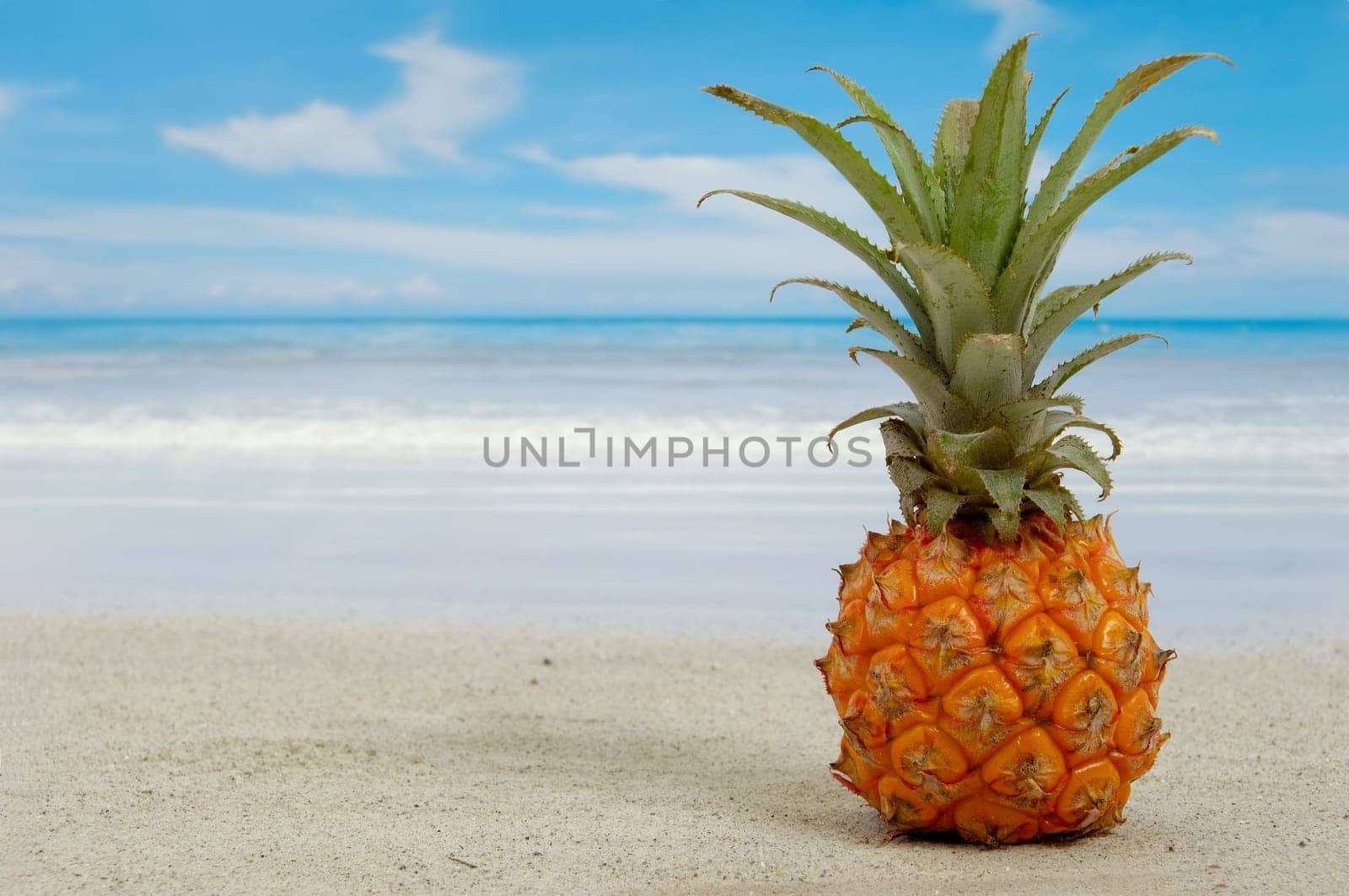 Pineapple on an exotic beach with blue and cloudy sky.