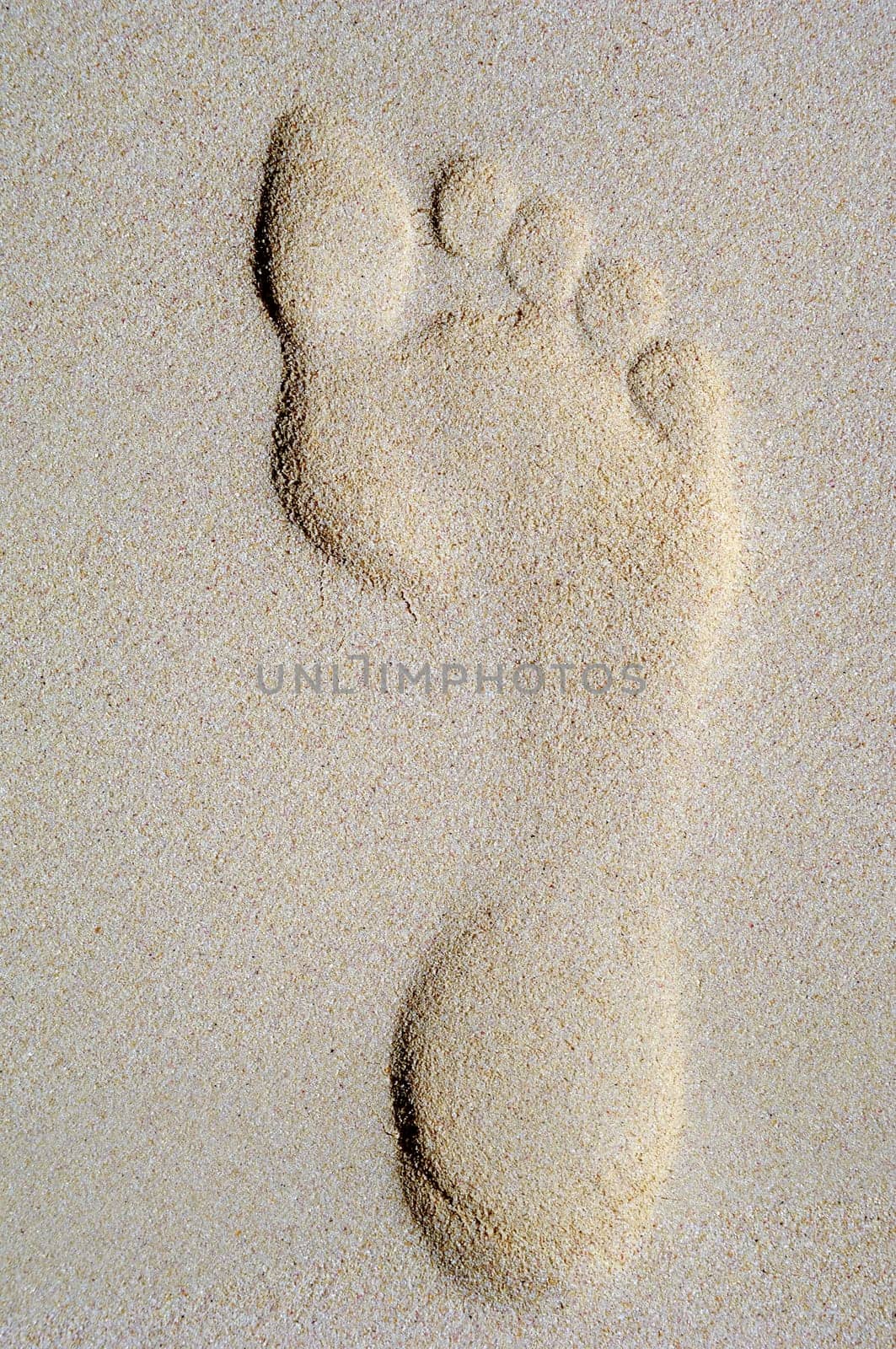 Singel footprint in the sand on a beach