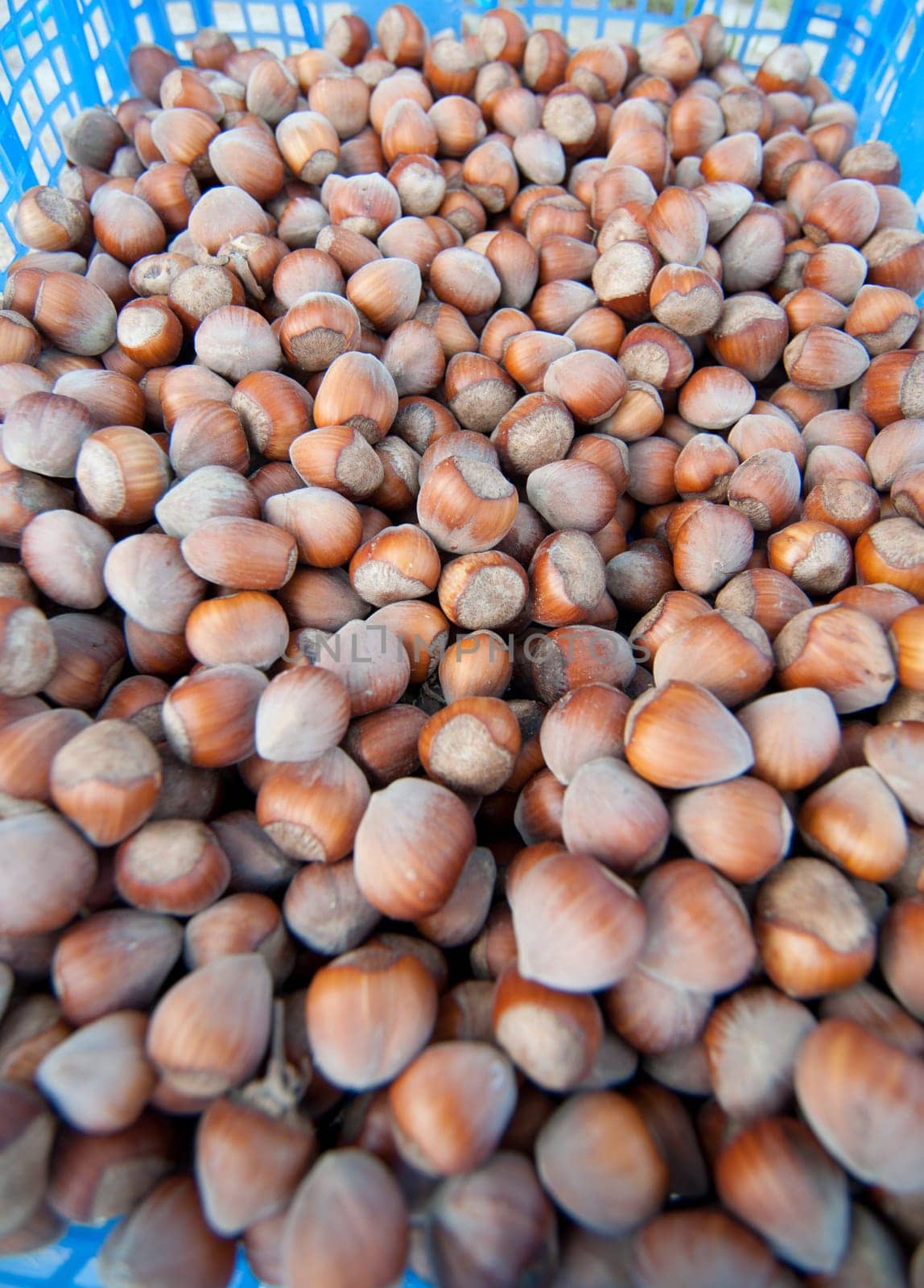 Stack of nuts