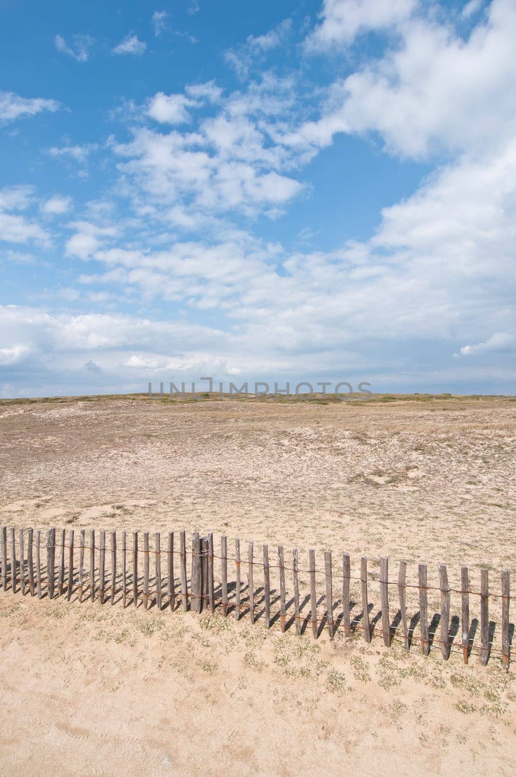 Dunes landscape with fence near Quiberon on Cote Sauvage