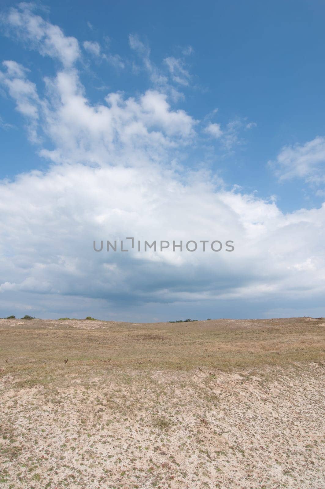 Dunes landscape near Quiberon on Cote Sauvage