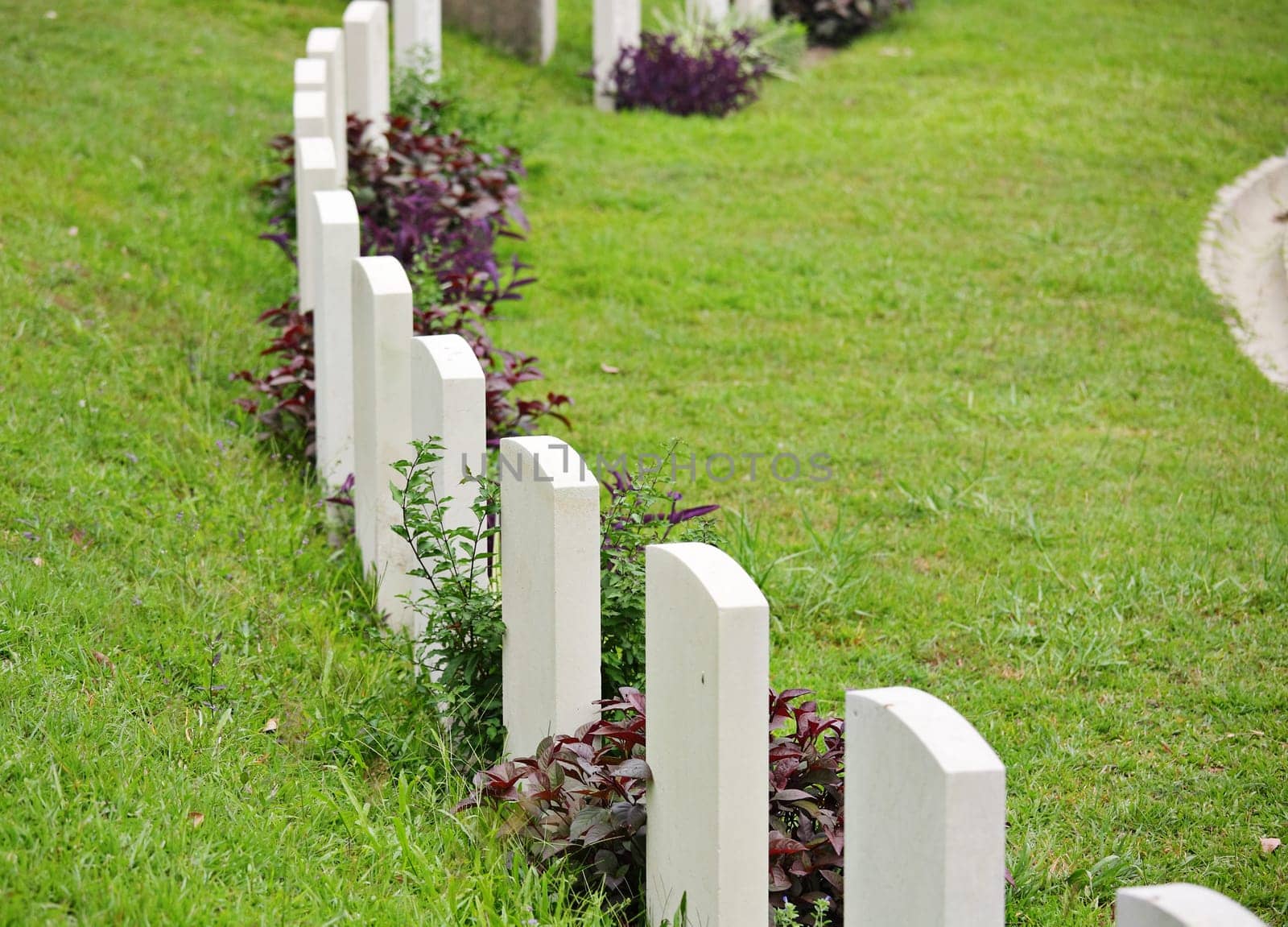 Rows of headstone at military memorial