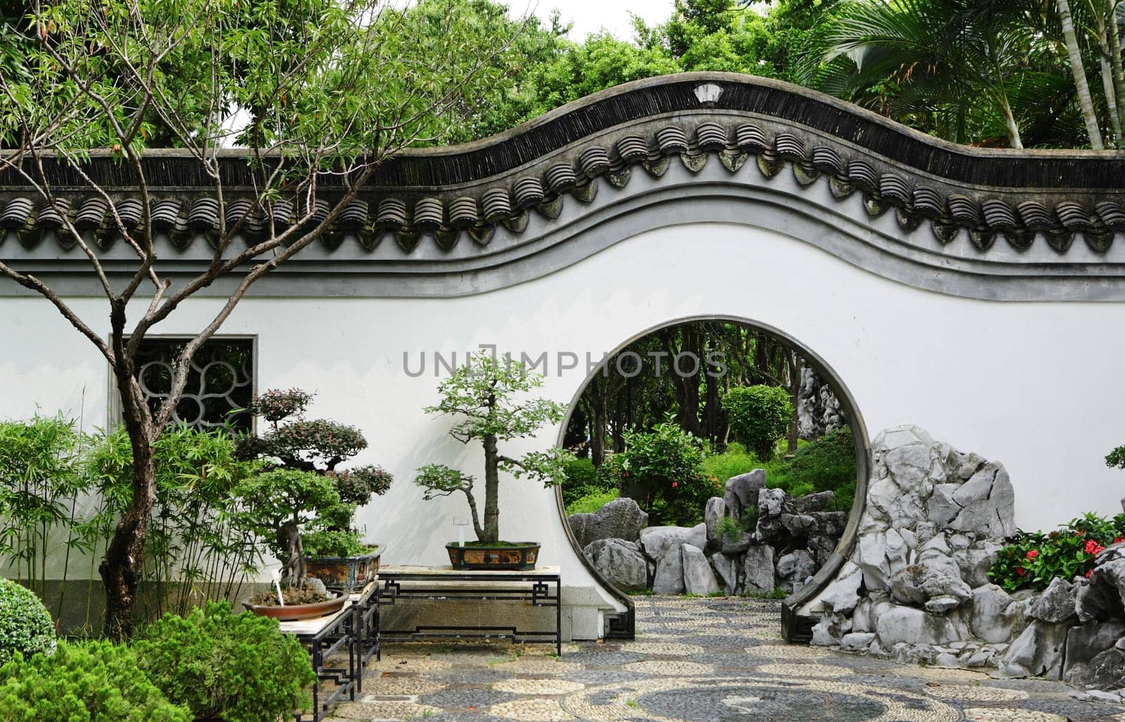 chinese garden