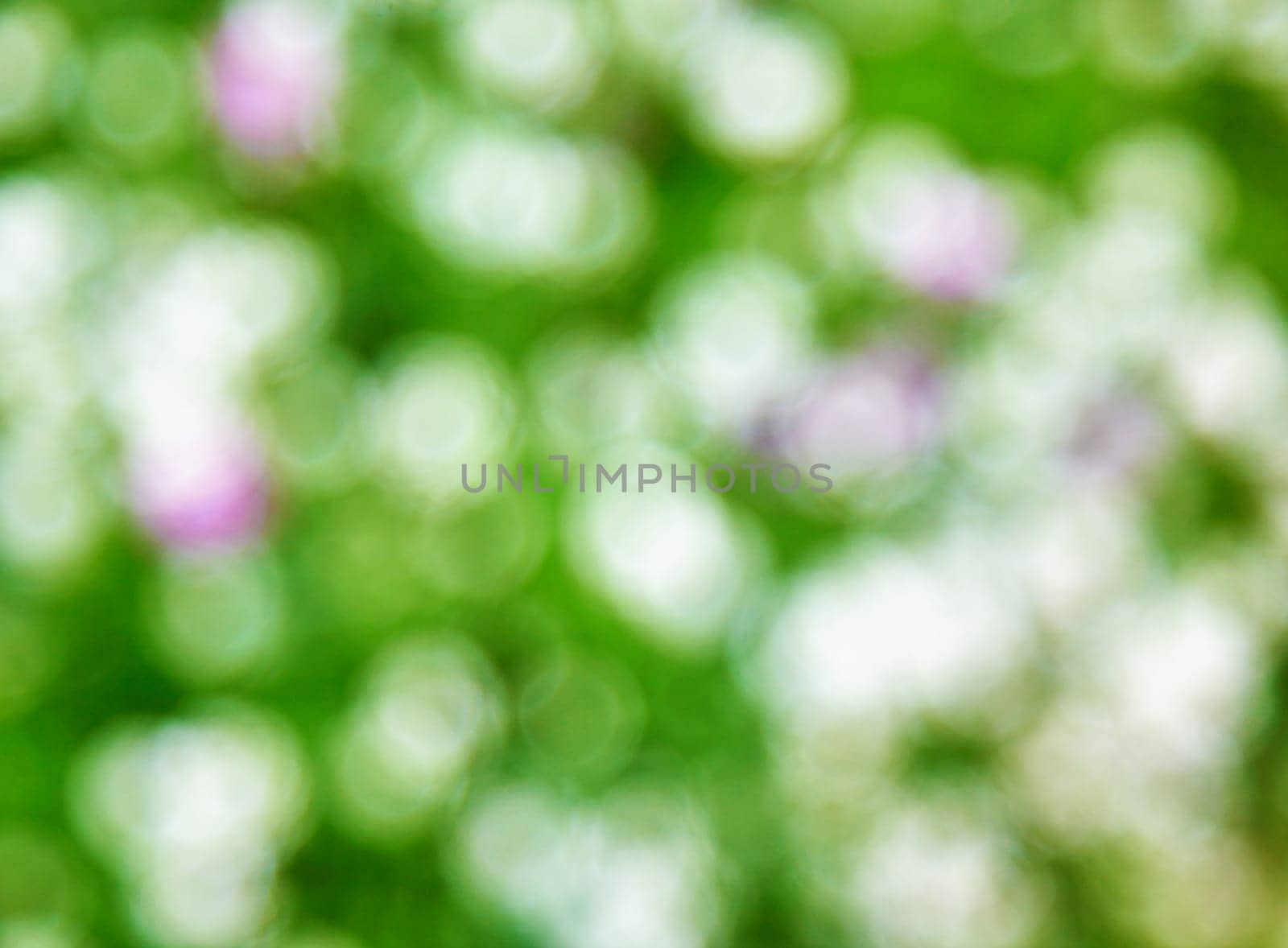 Abstract bright green photo background - white spots