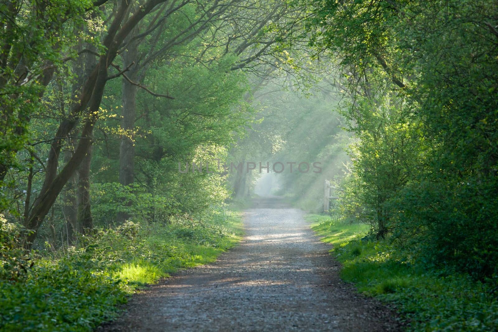 Countryside track and sunbeams