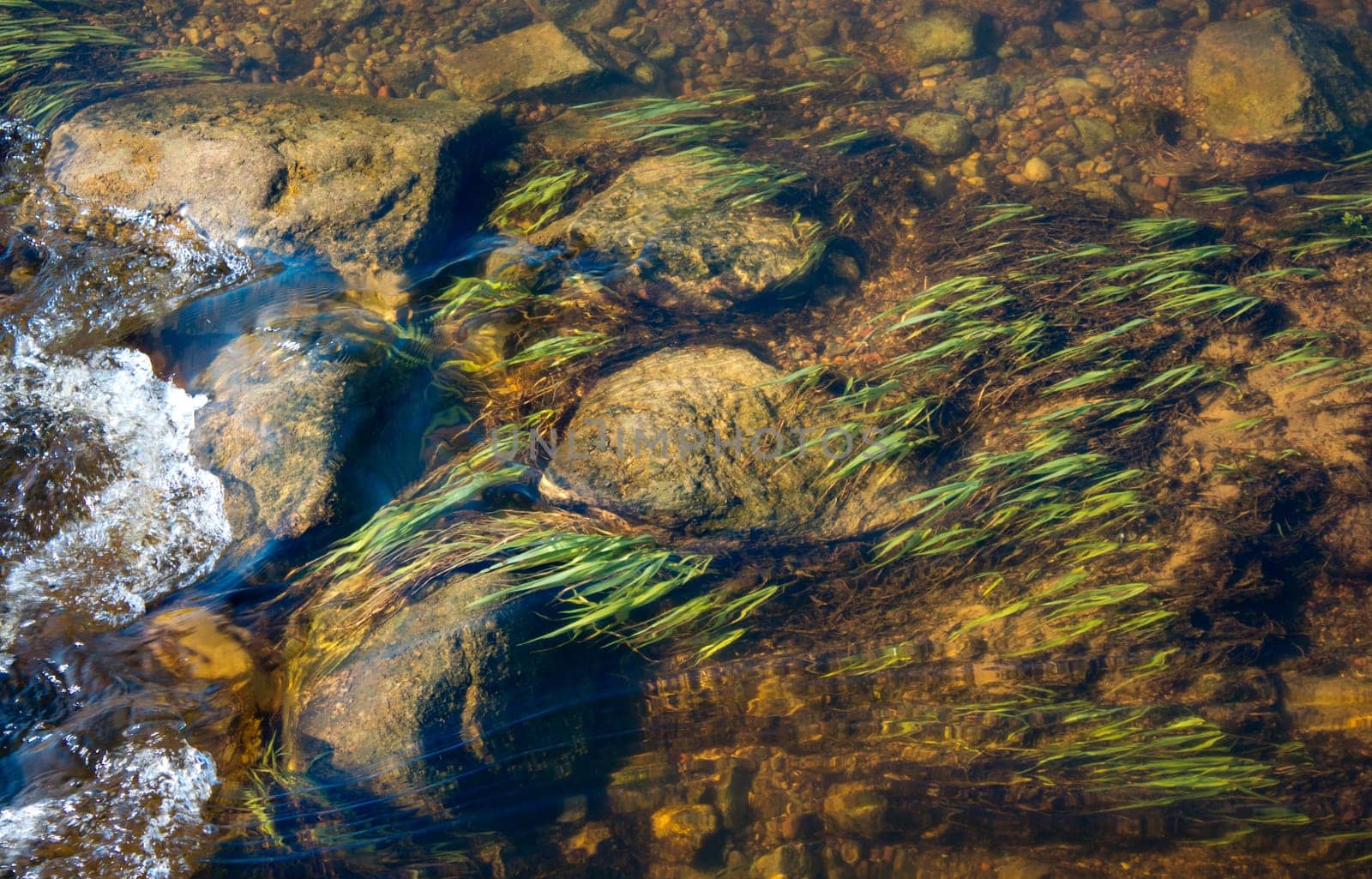 Rocks under water with a flow of the river
