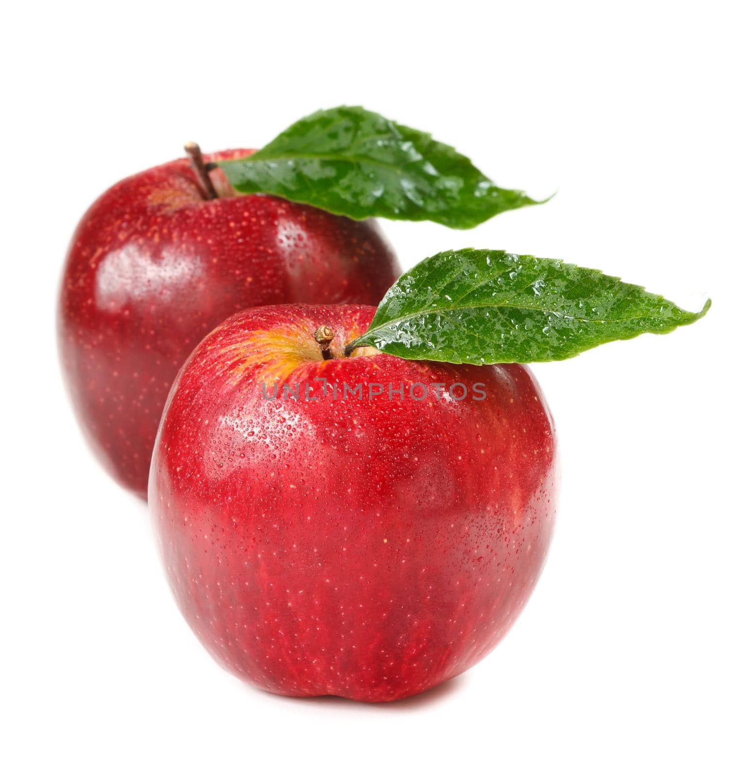 Fresh red apples with water drops on a white.