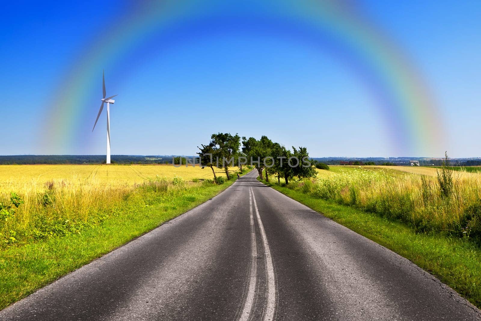 Rainbow Road