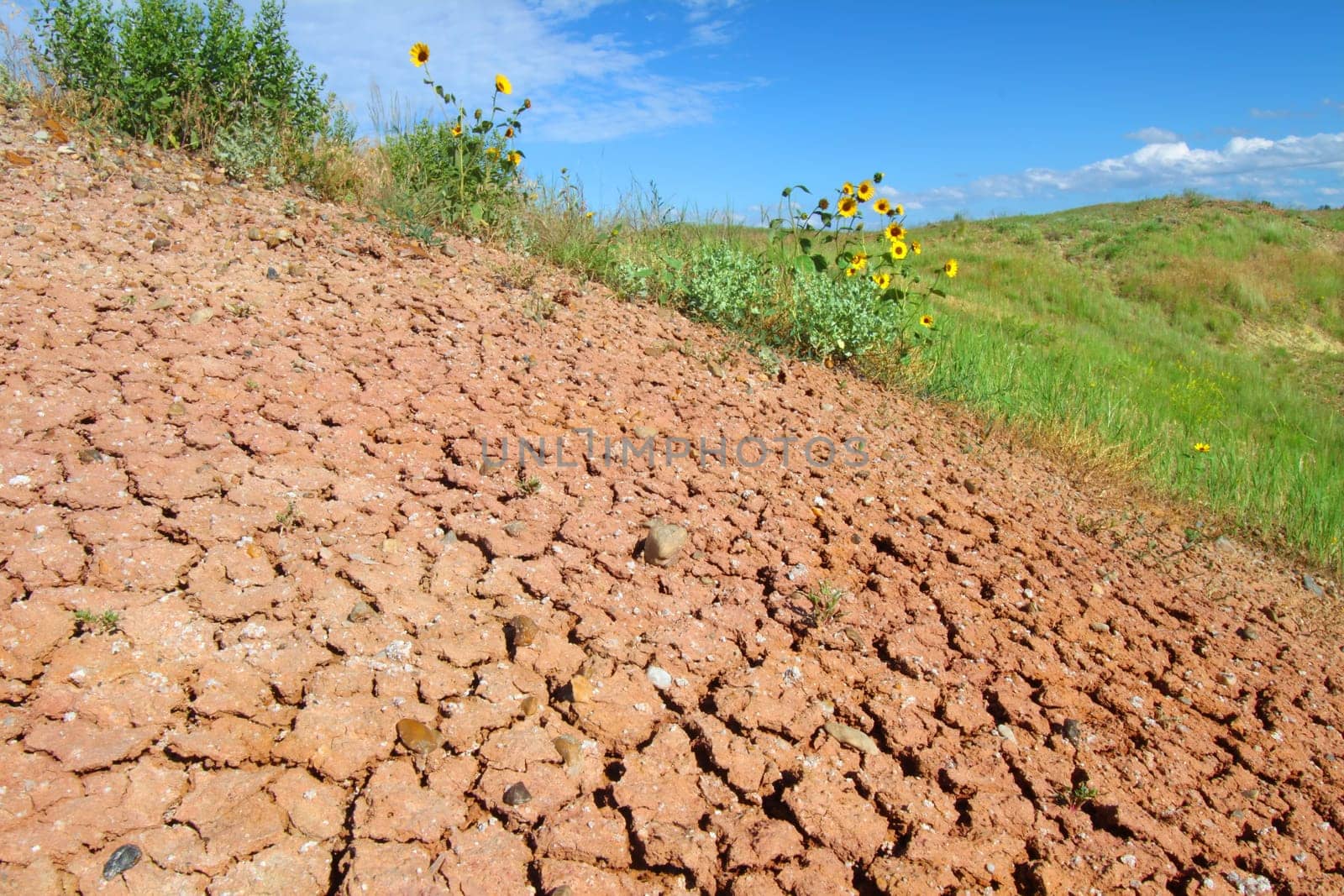 Dried and parched ground of Badlands National Park in South Dakota.