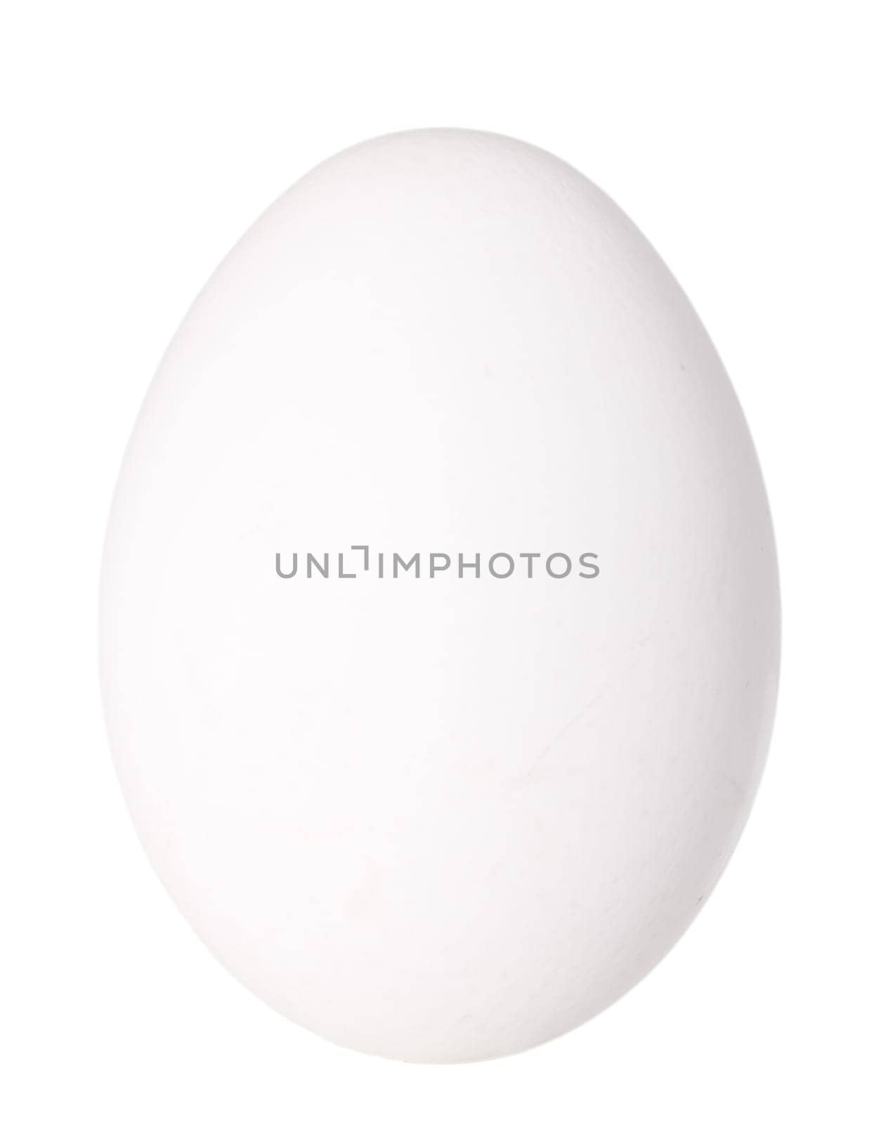 Only single white bird egg. Isolated on white background. Close-up. Studio photography.