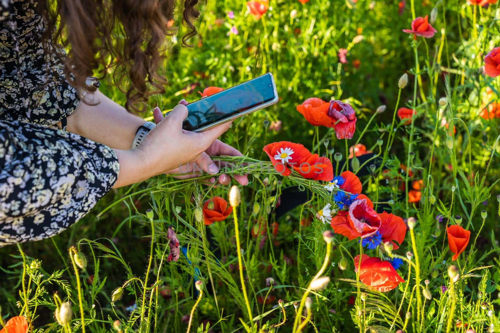 A woman in a field photographs wildflowers and a wreath of poppies, daisies and cornflowers.
